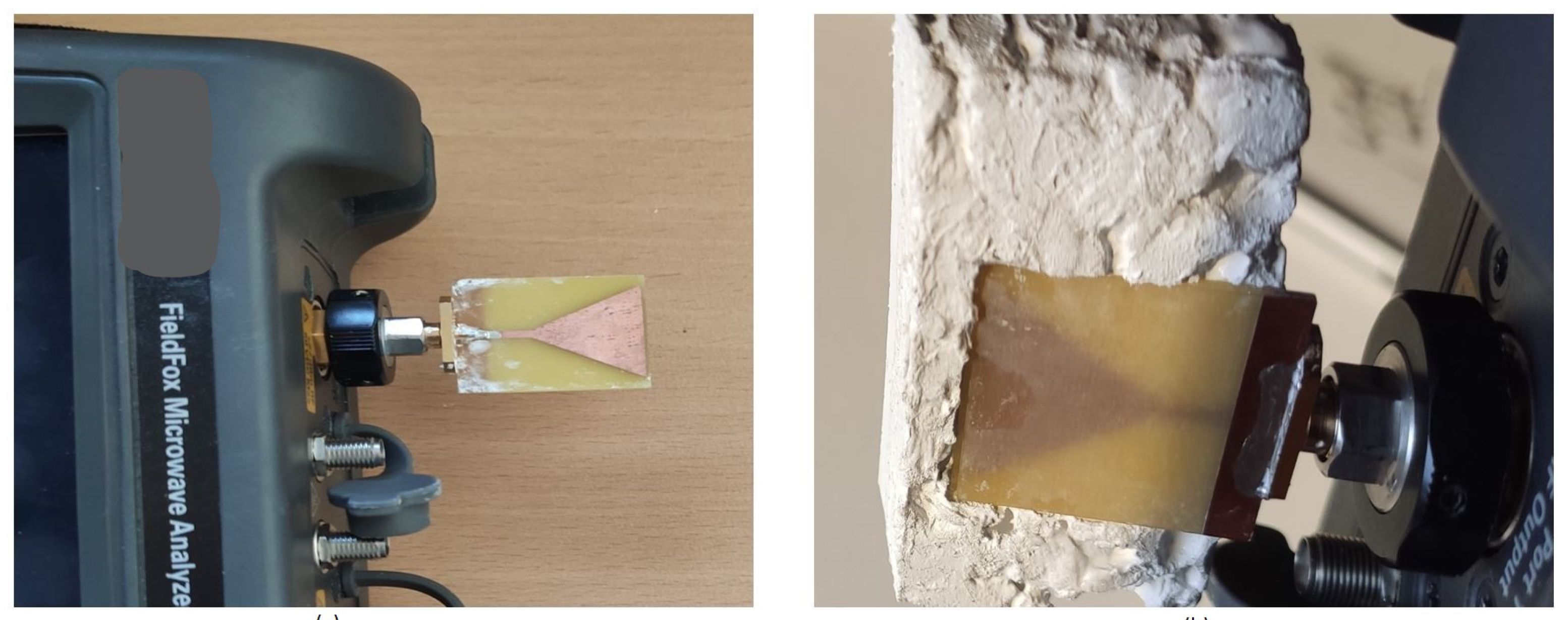 Diagnostics 11 00550 g008