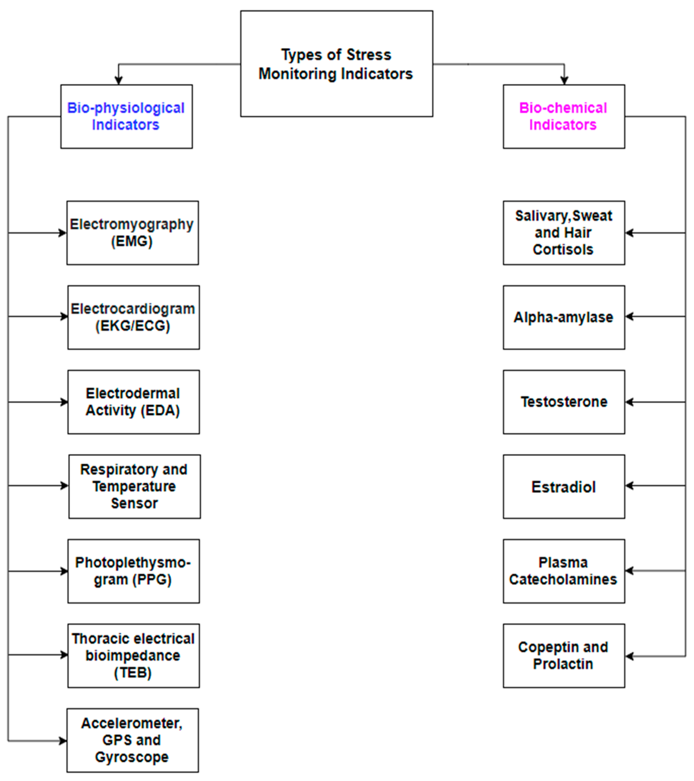 Diagnostics 11 00556 g002