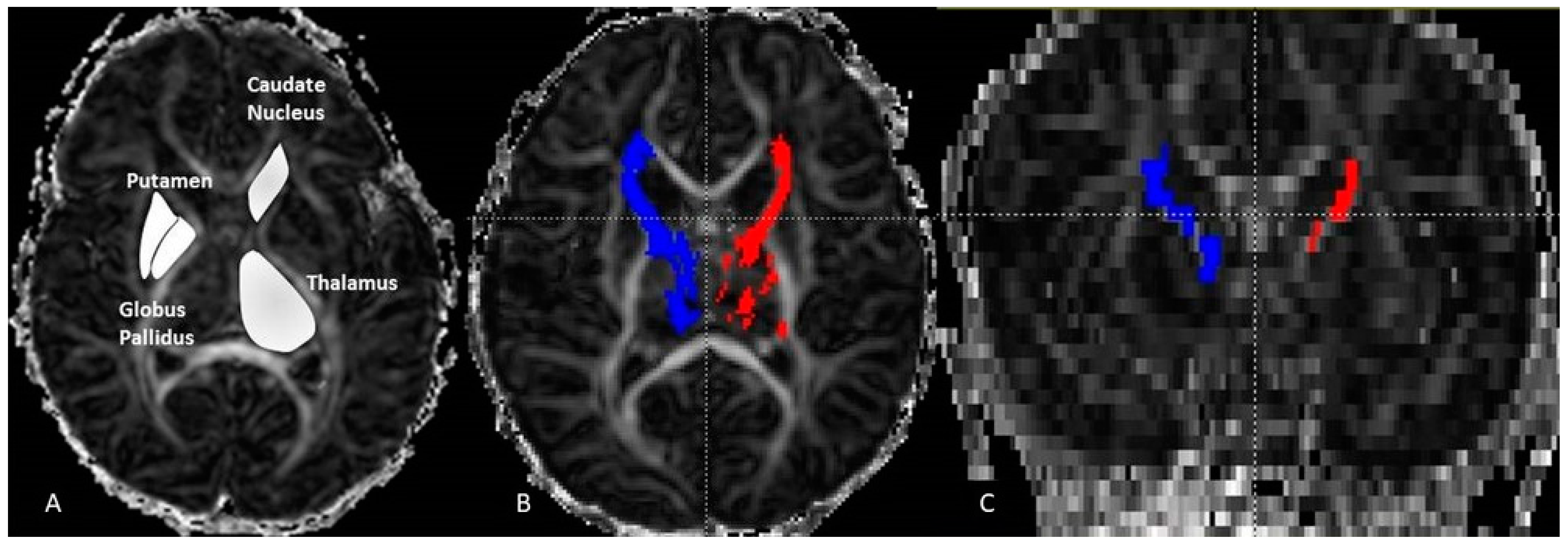 Diagnostics 11 00560 g001 Diagnostics 11 00560 g001