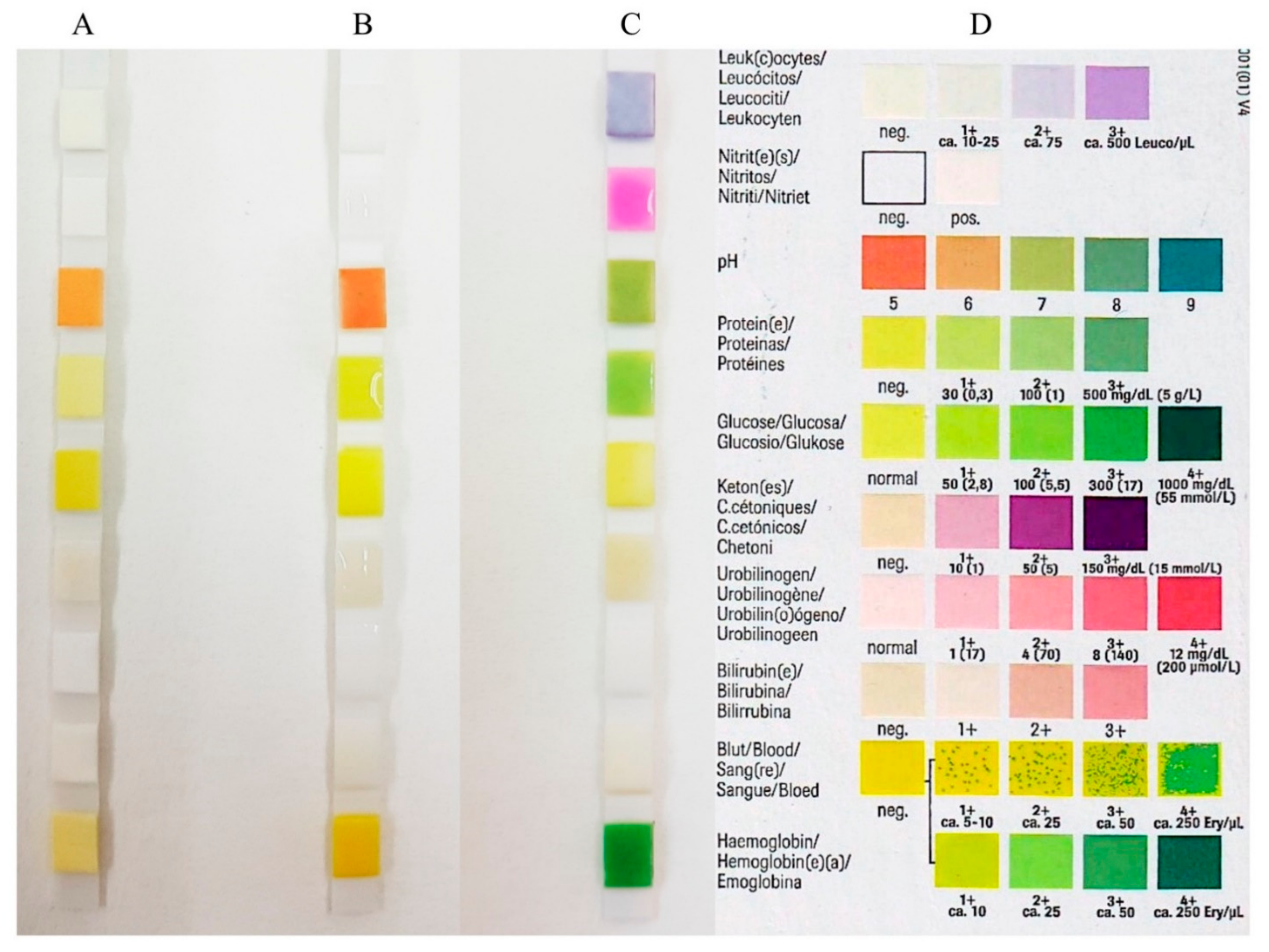 Diagnostics 11 00571 g001