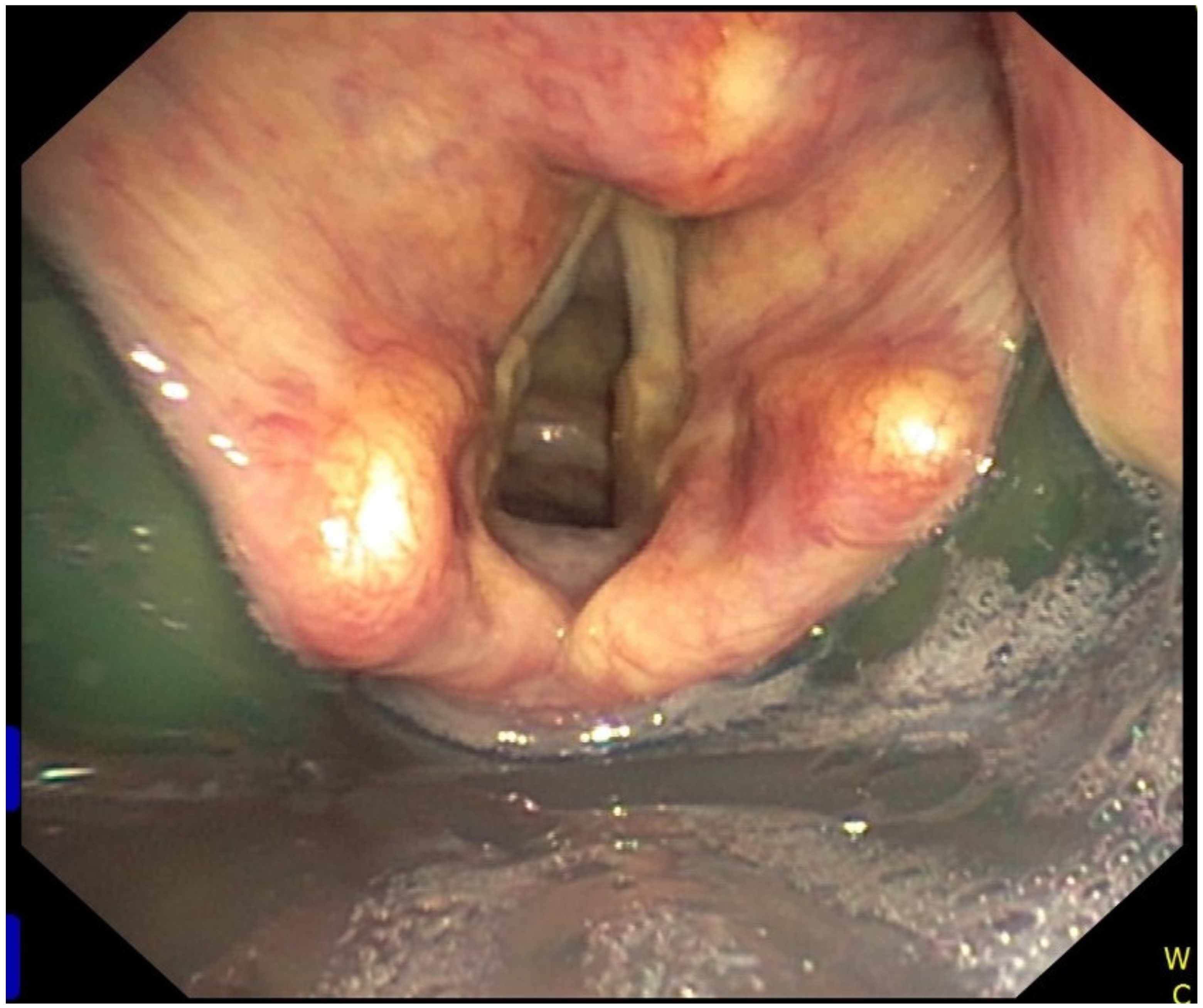 Diagnostics 11 00575 g001