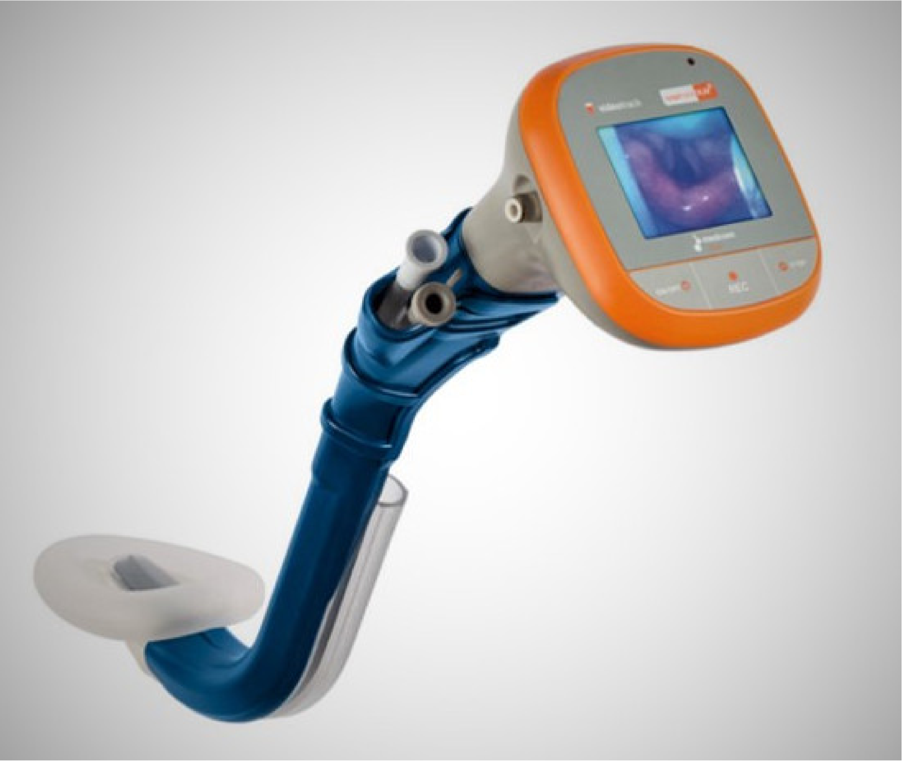 Diagnostics 11 00575 g002