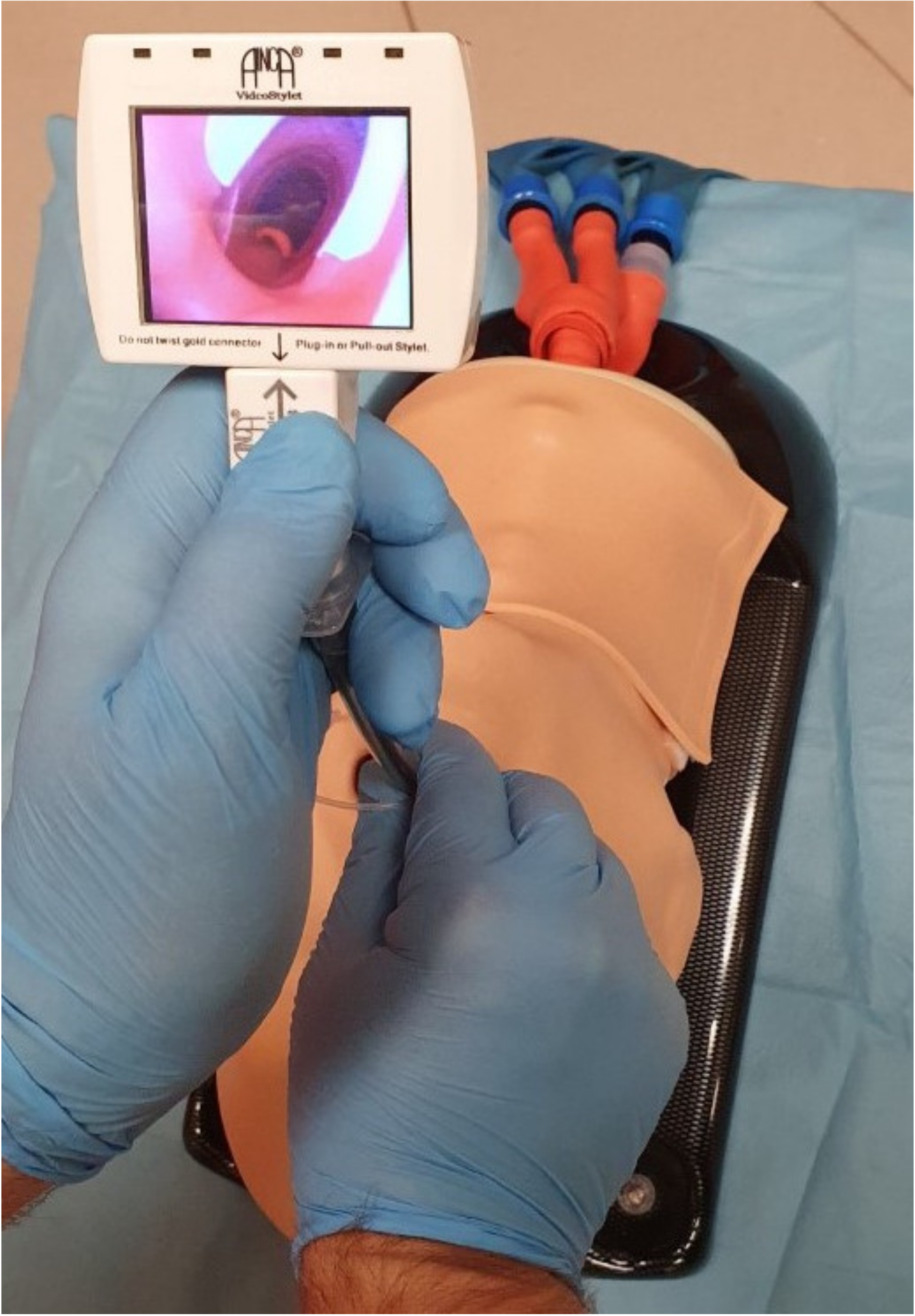 Diagnostics 11 00575 g004