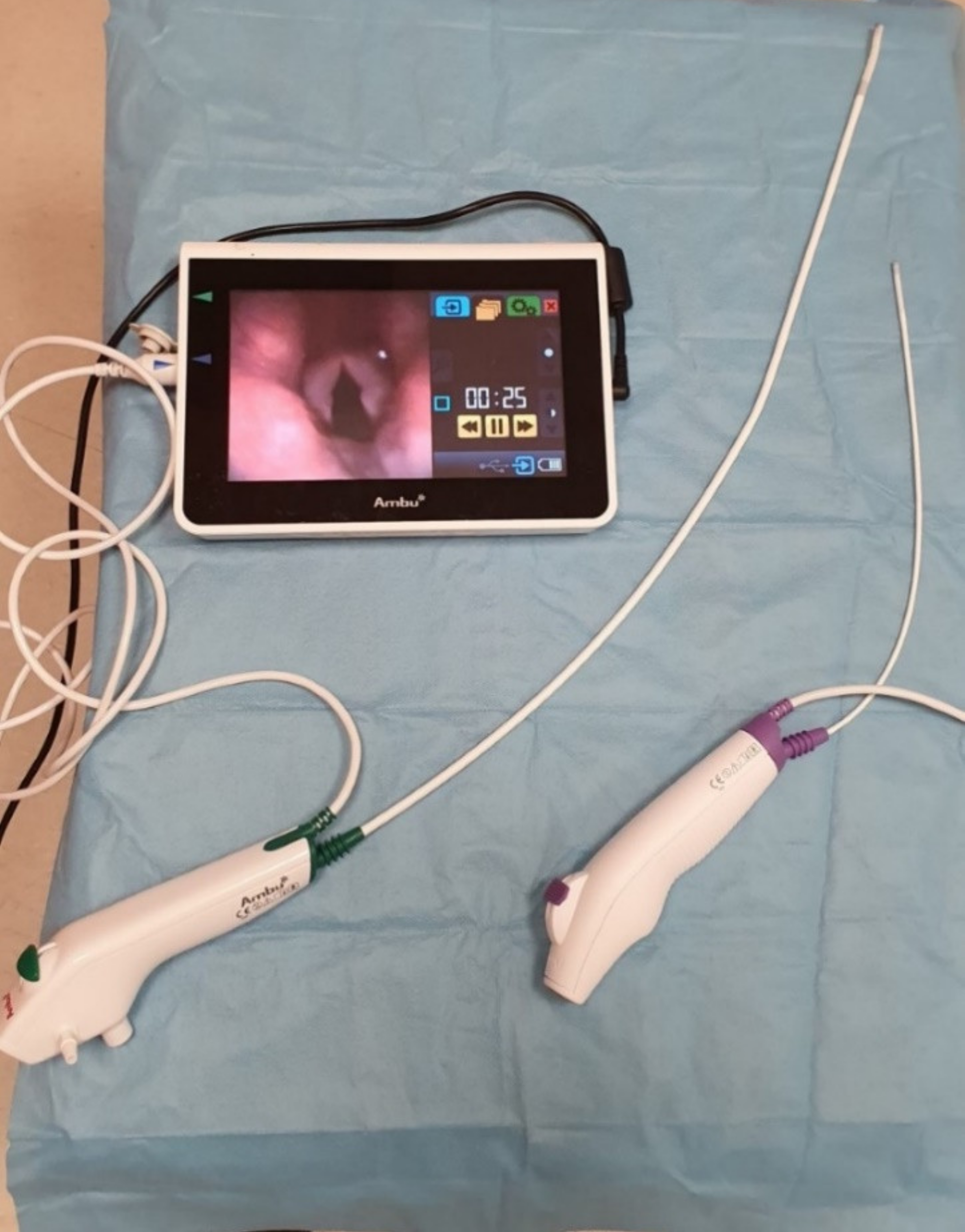 Diagnostics 11 00575 g005