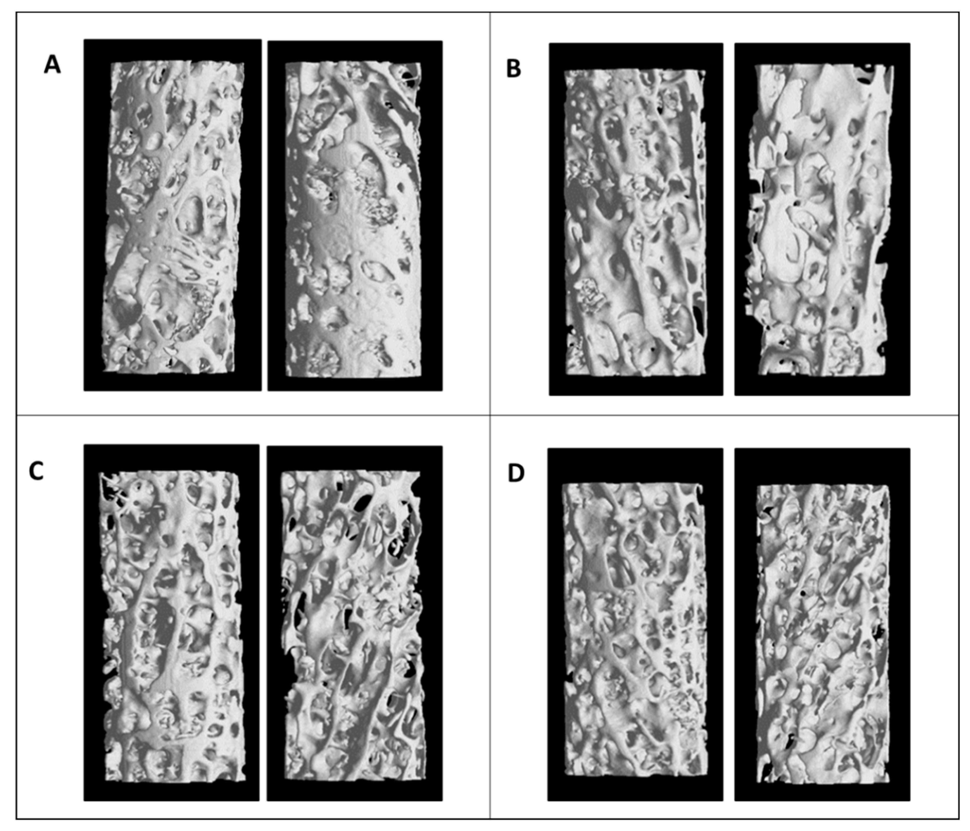 Diagnostics 11 00577 g002