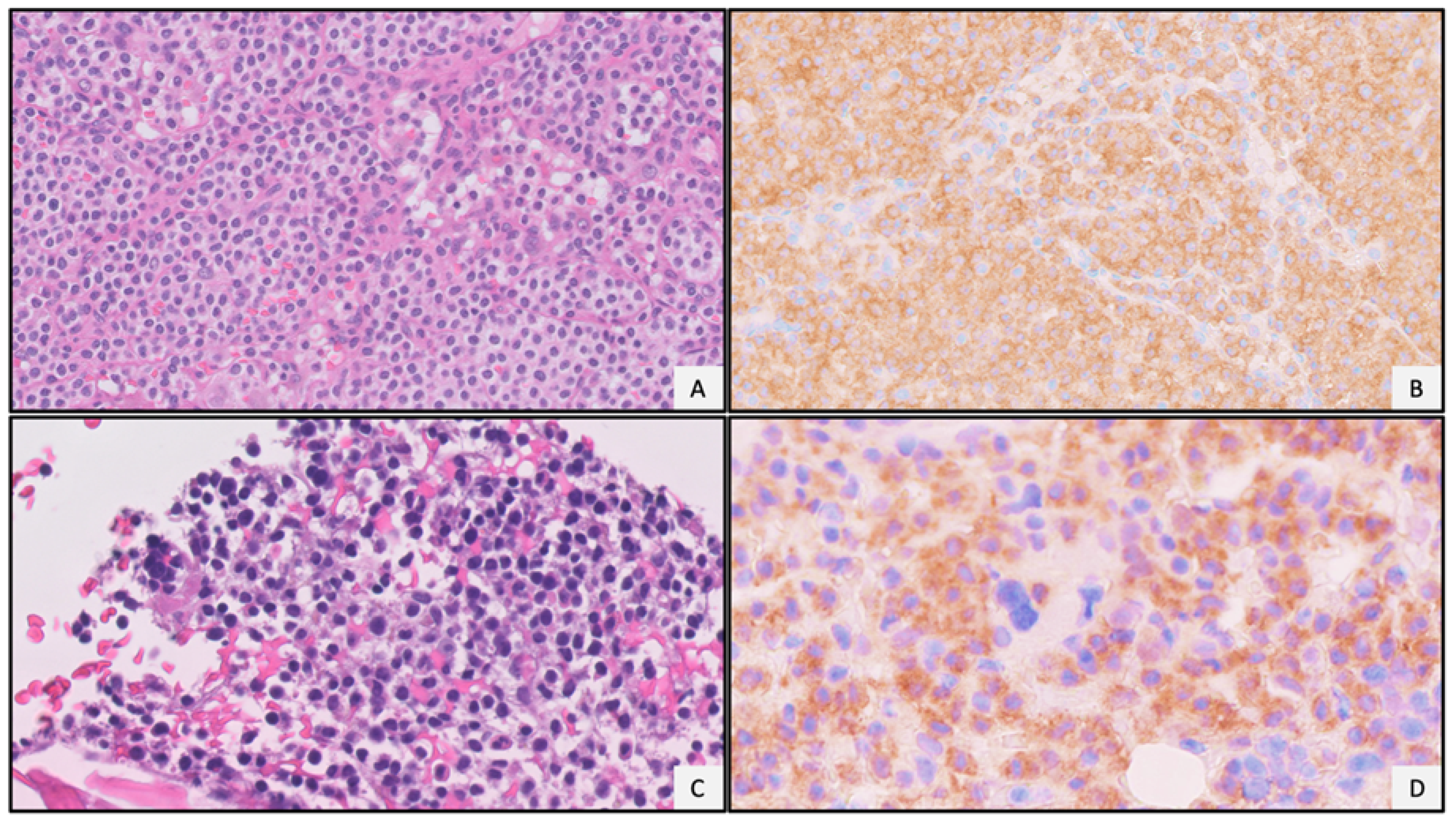 Diagnostics 11 00600 g002