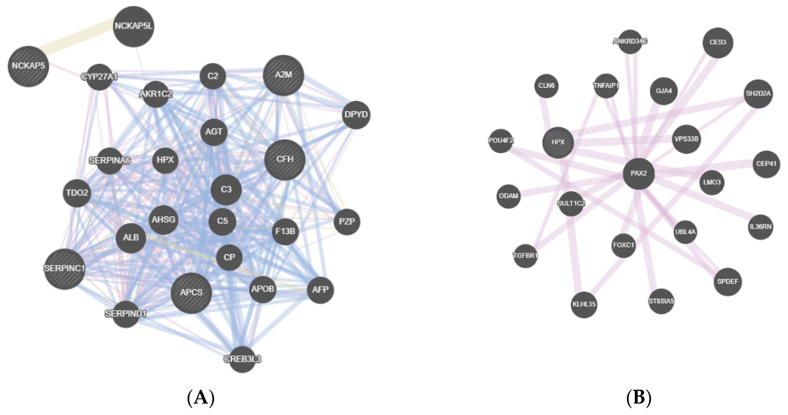 Diagnostics 11 00601 g003a