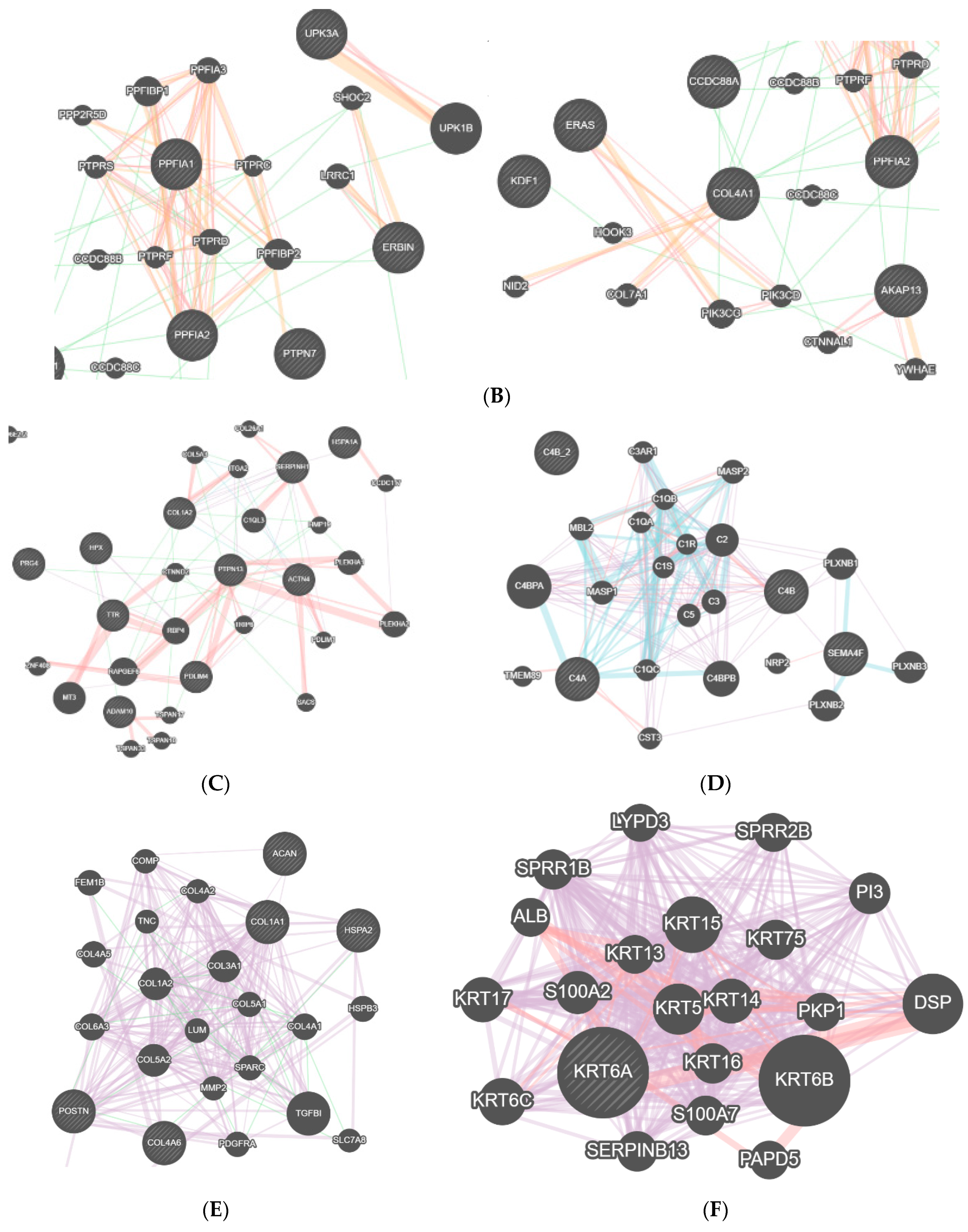 Diagnostics 11 00601 g004b