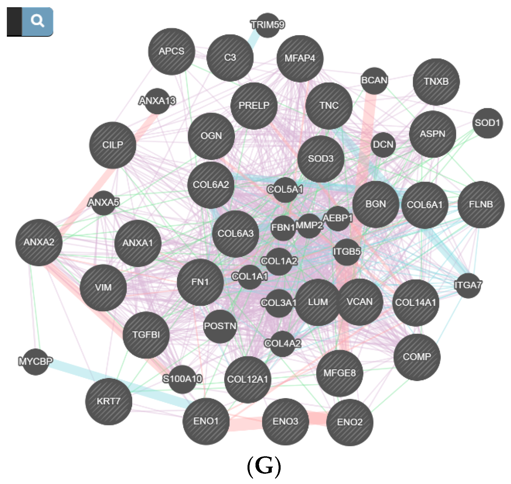 Diagnostics 11 00601 g004c