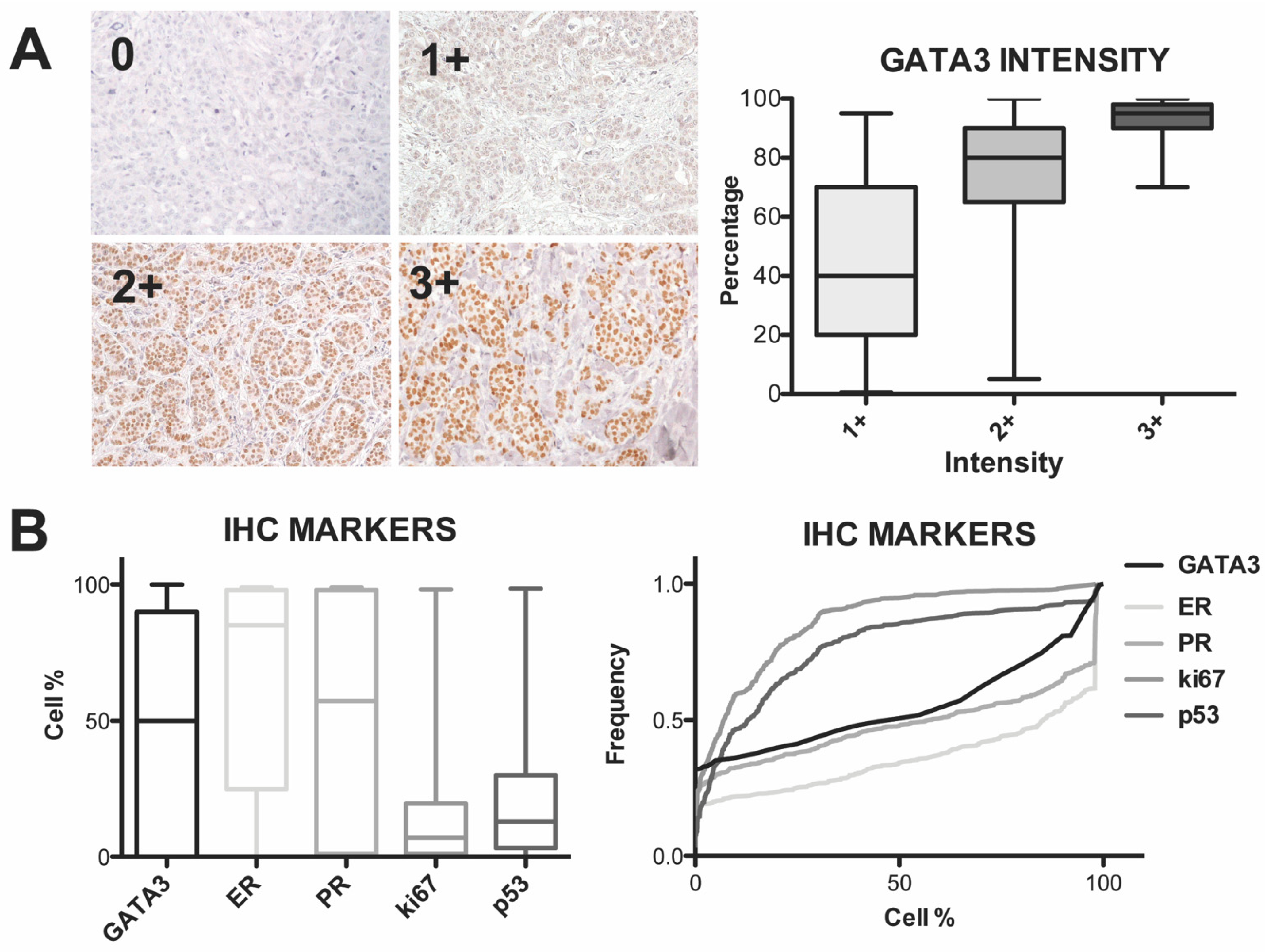 Diagnostics 11 00604 g001