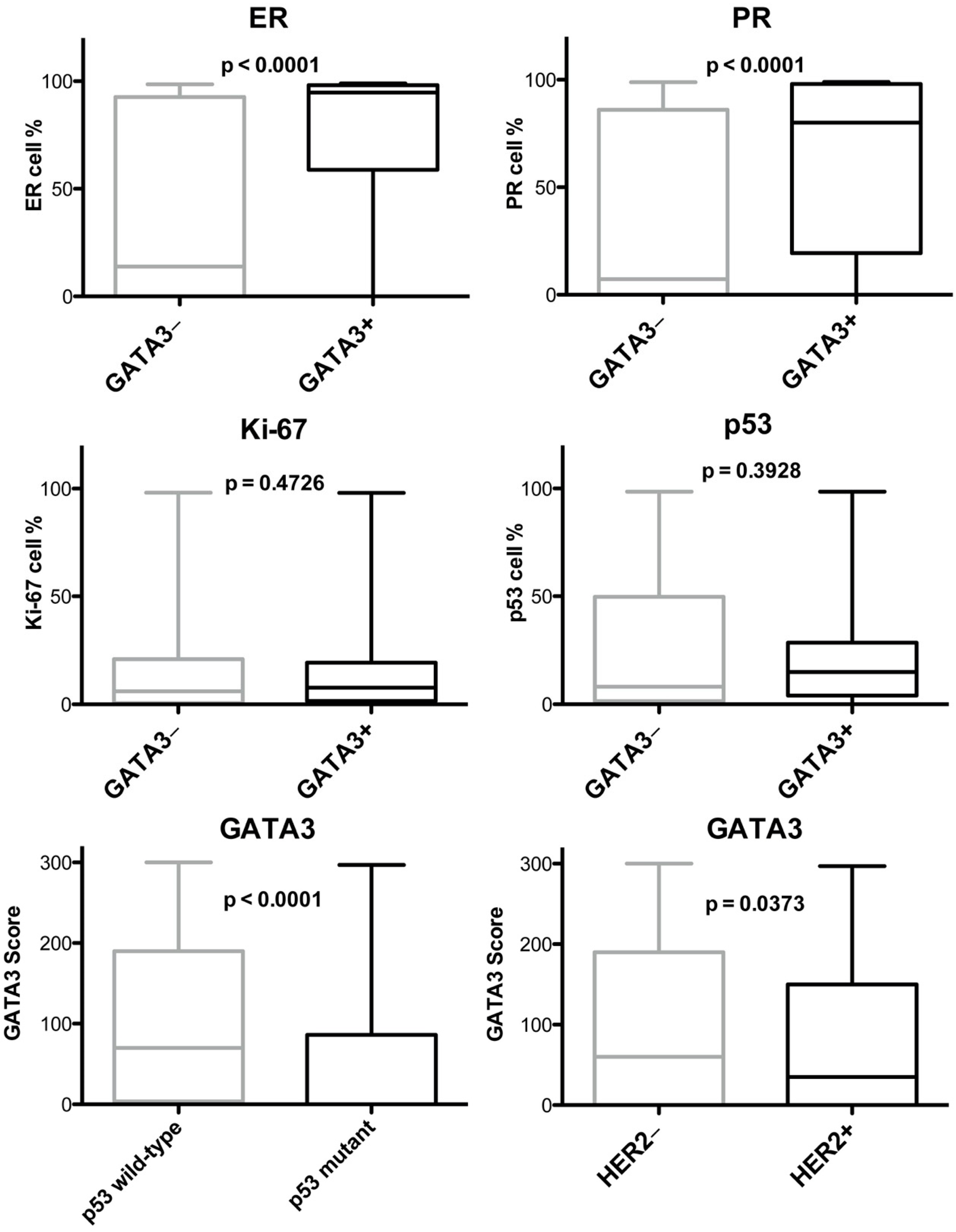 Diagnostics 11 00604 g002