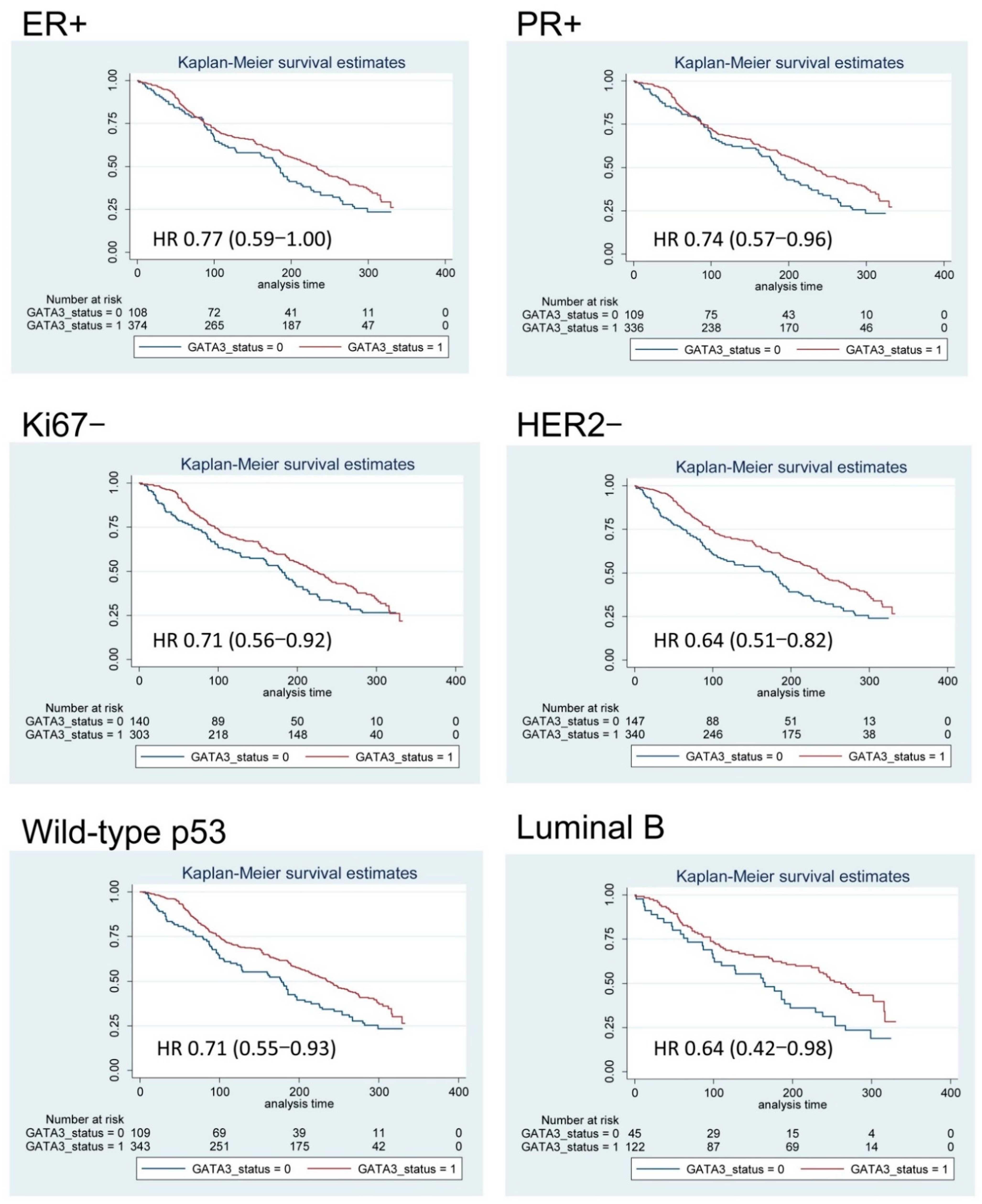 Diagnostics 11 00604 g005