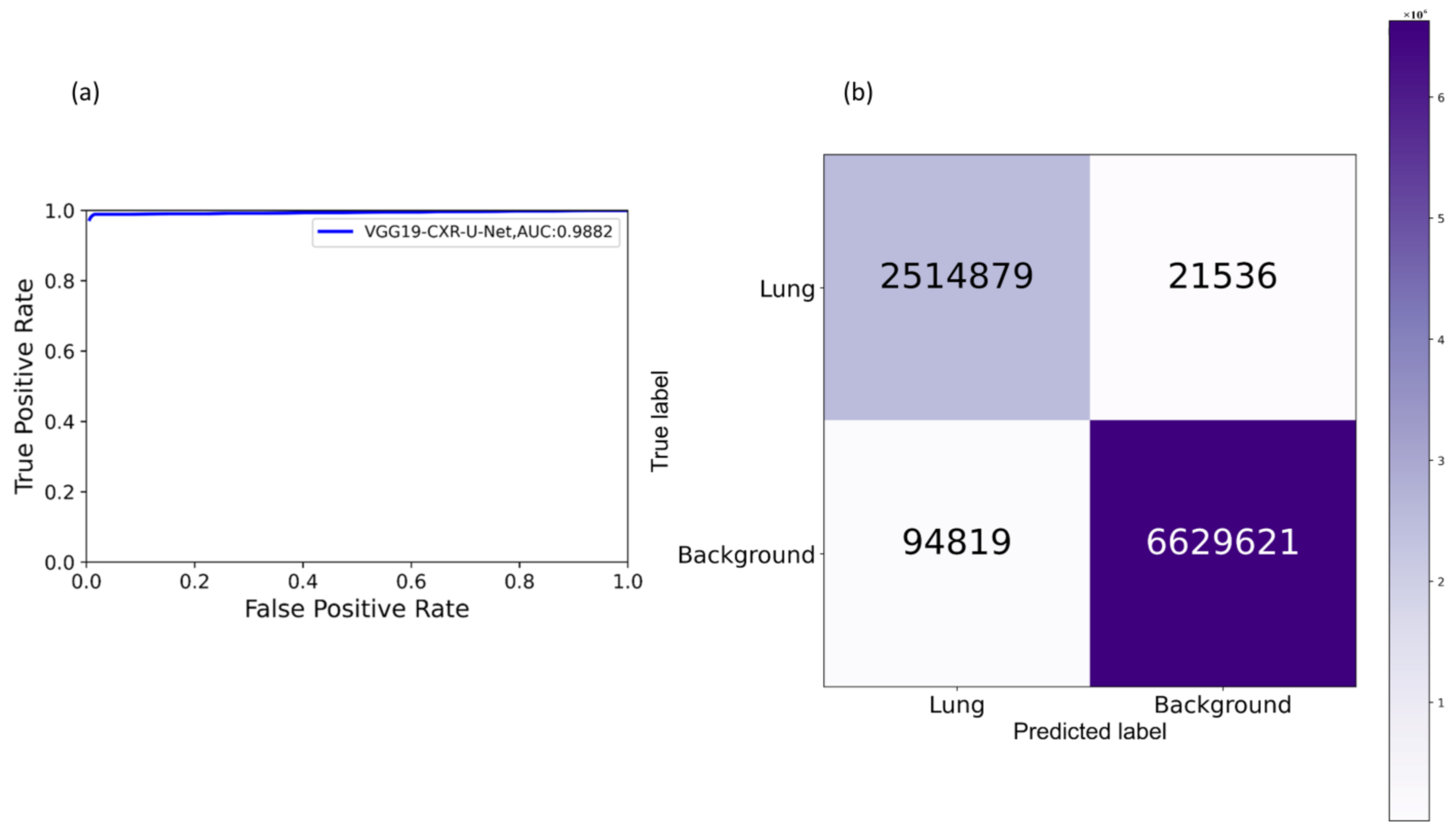 Diagnostics 11 00616 g008