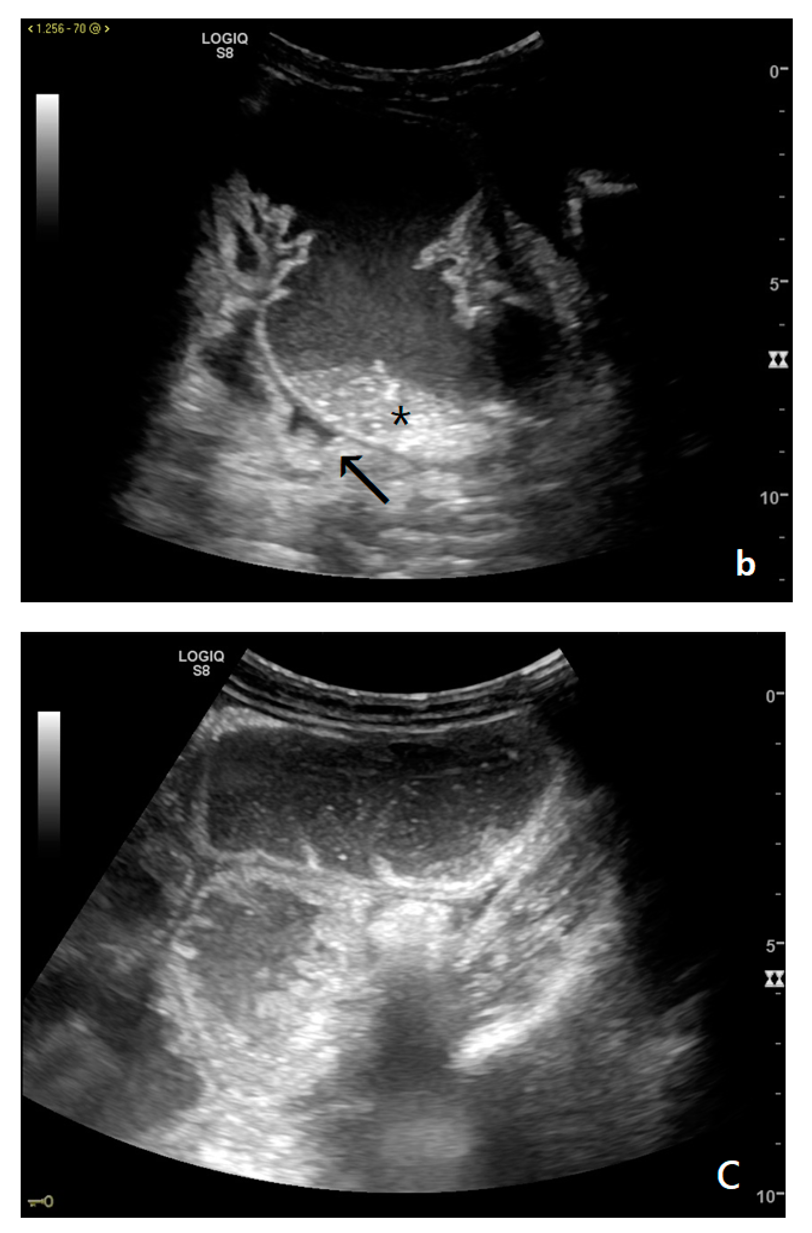 Diagnostics 11 00617 g004b