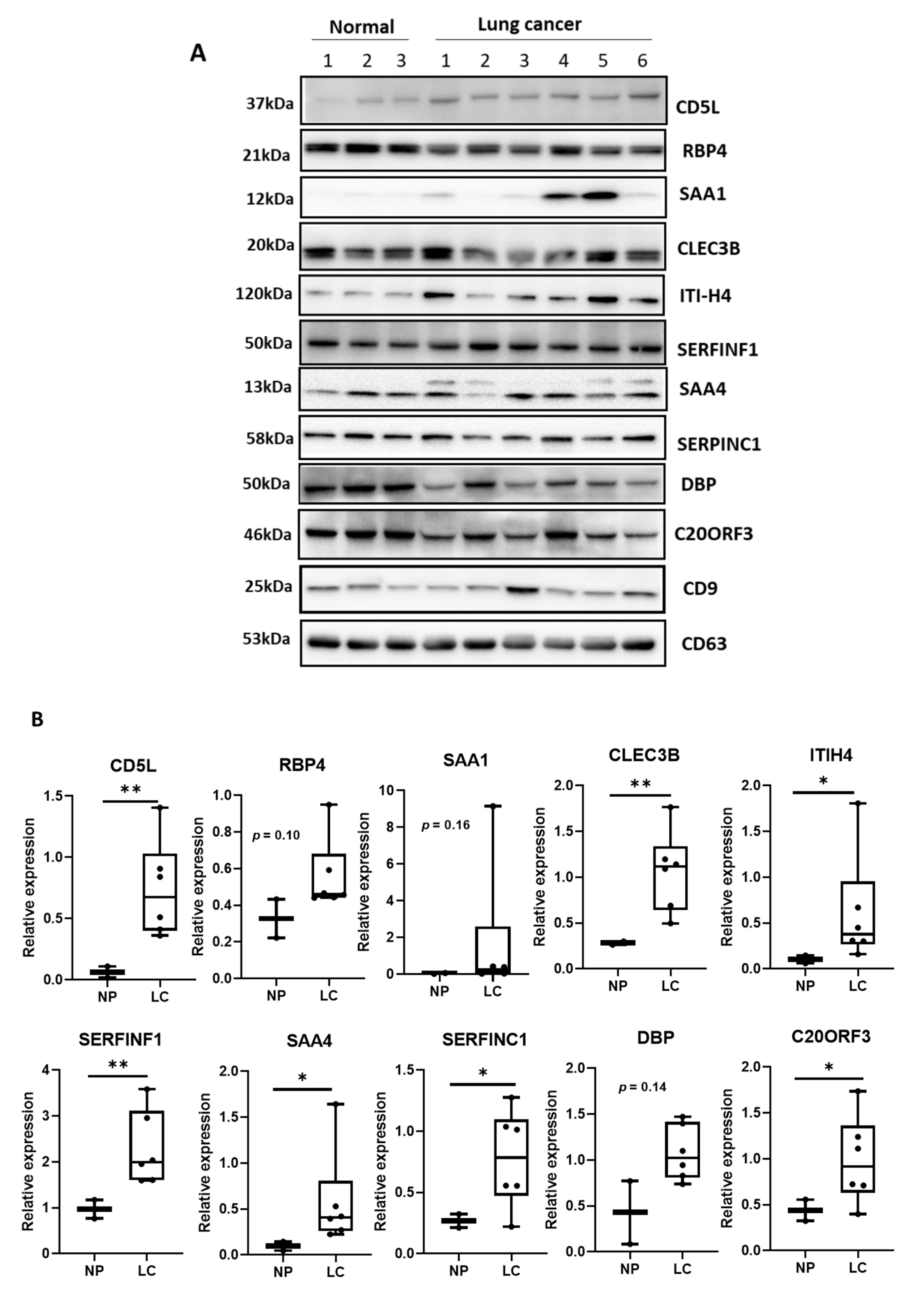 Diagnostics 11 00620 g002