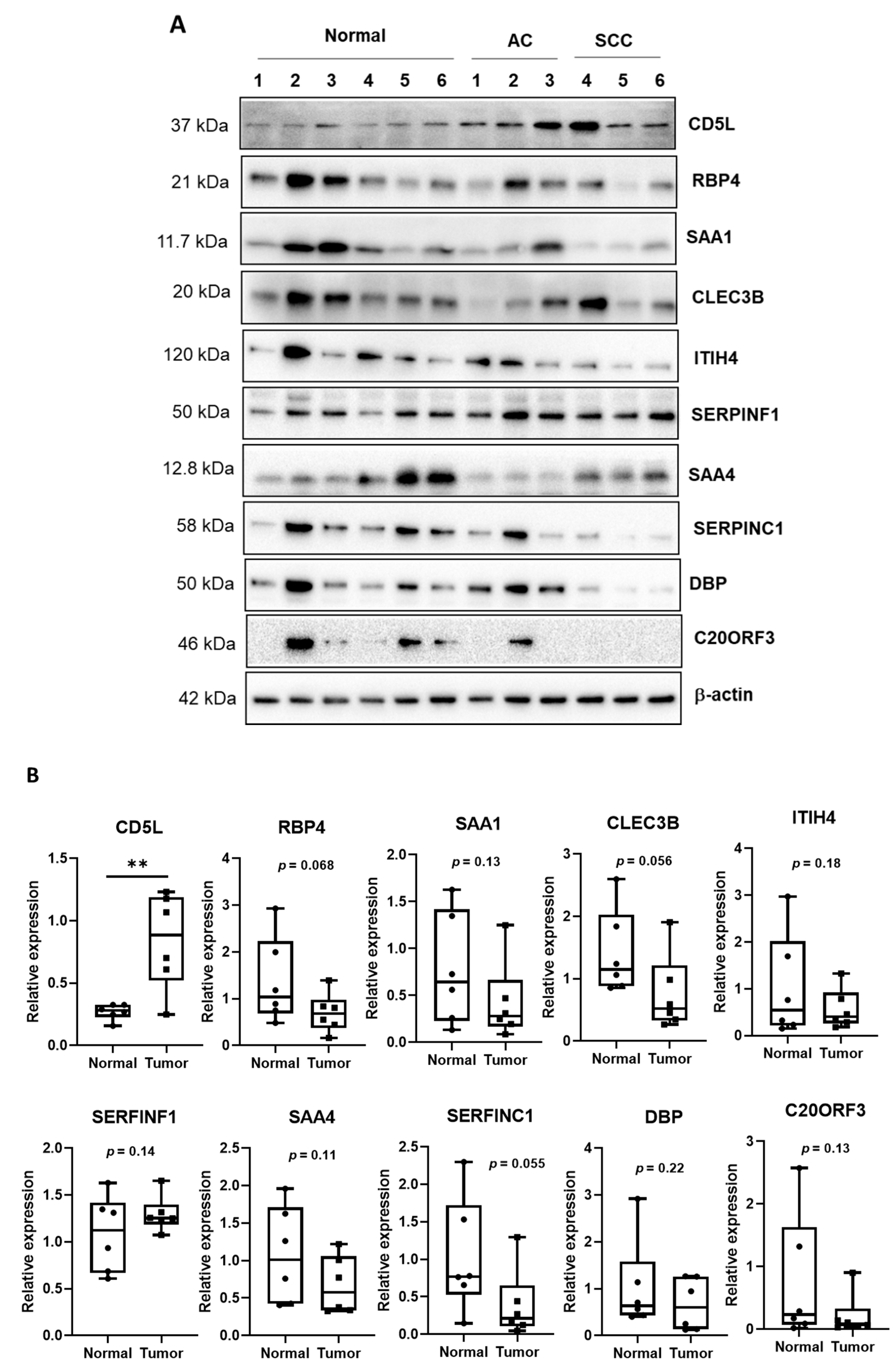 Diagnostics 11 00620 g003
