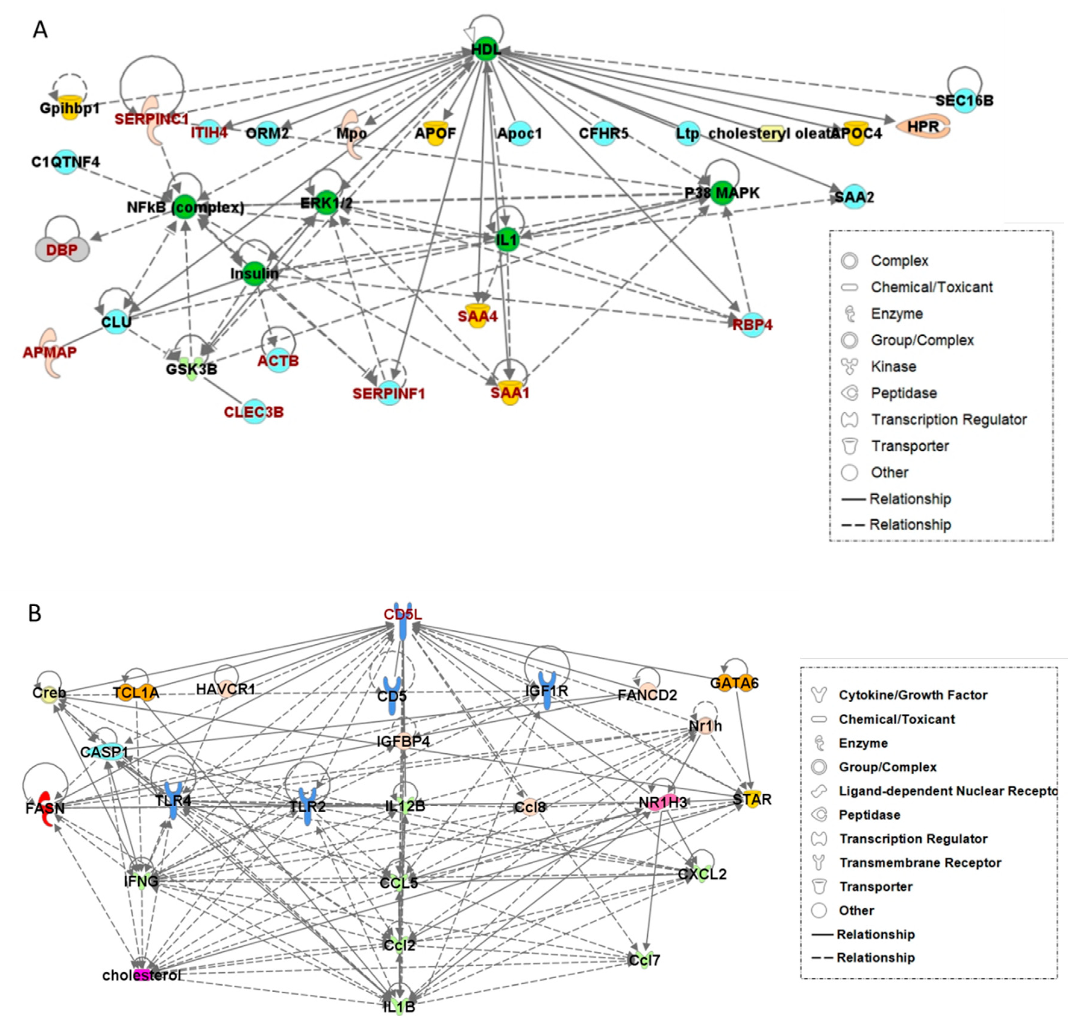 Diagnostics 11 00620 g004