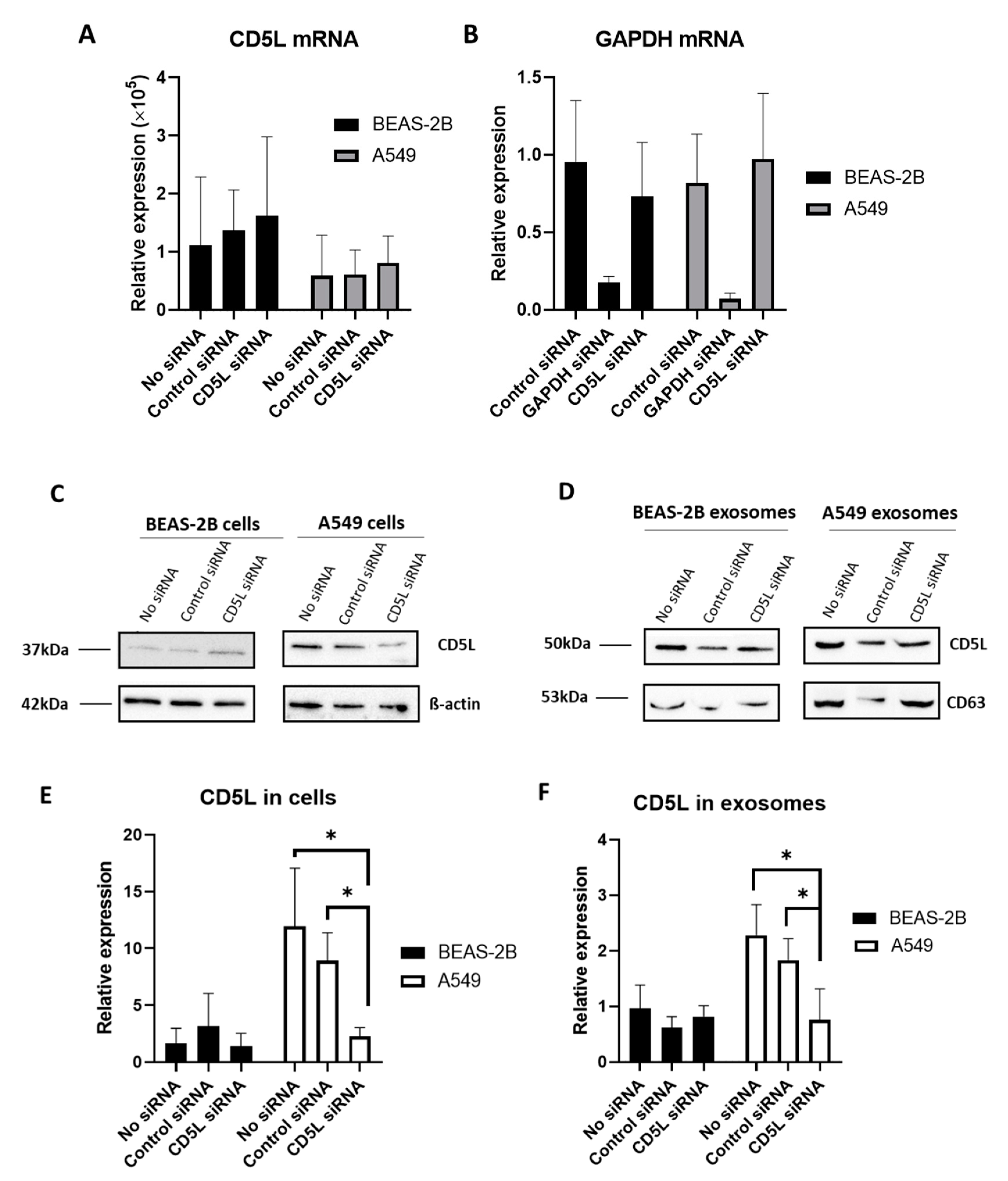 Diagnostics 11 00620 g006