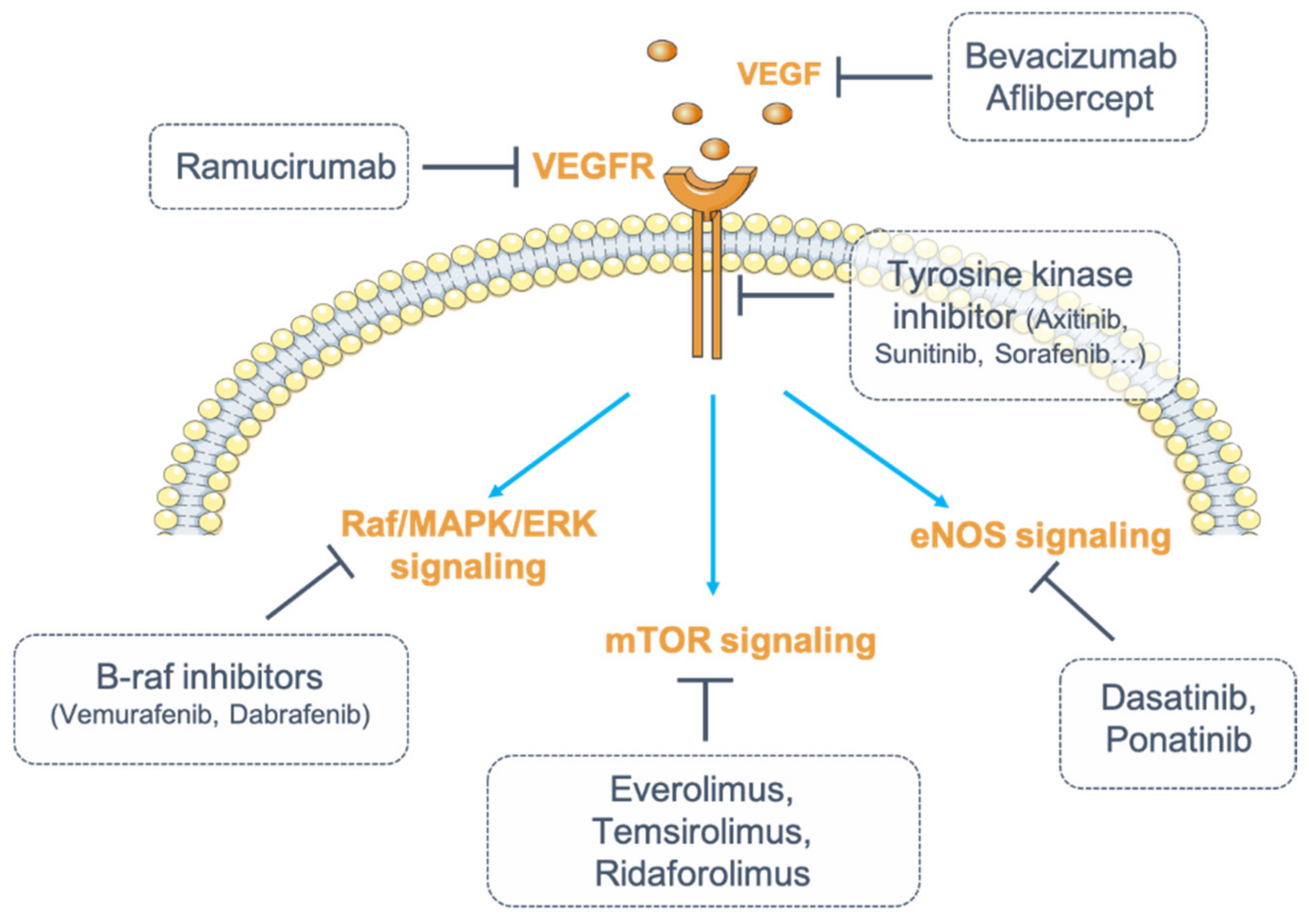 Diagnostics 11 00640 g001