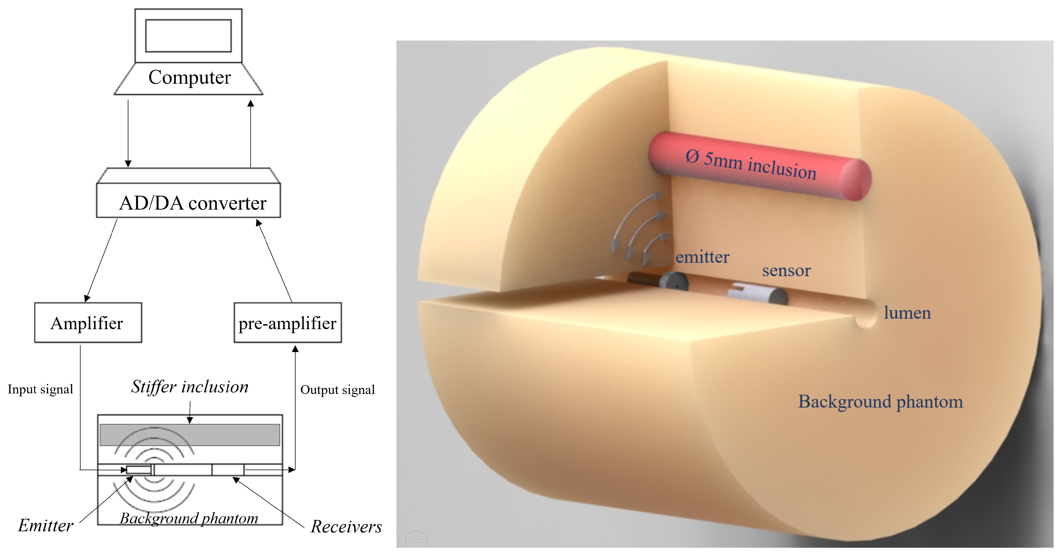 Diagnostics 11 00645 g002