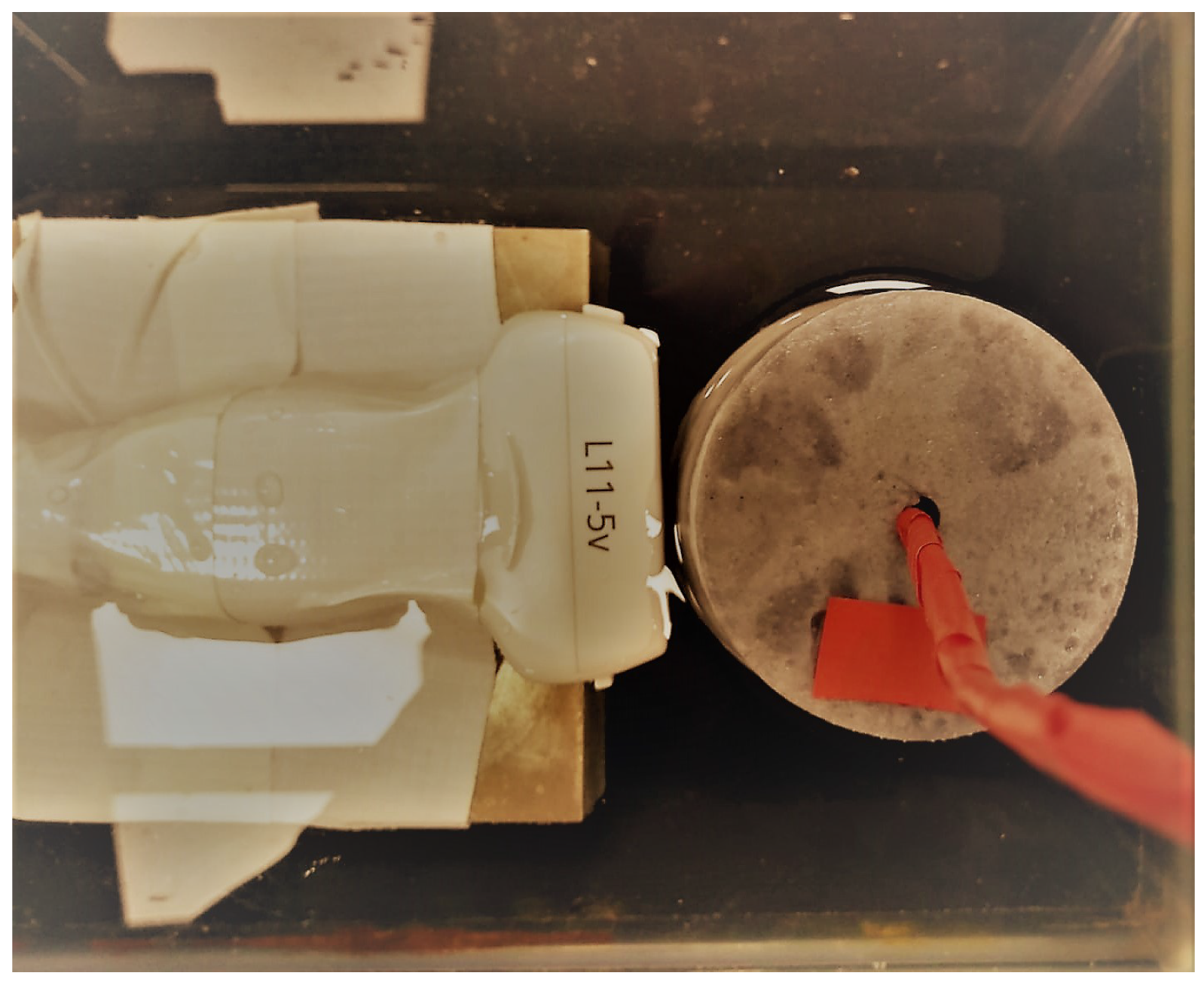 Diagnostics 11 00645 g004