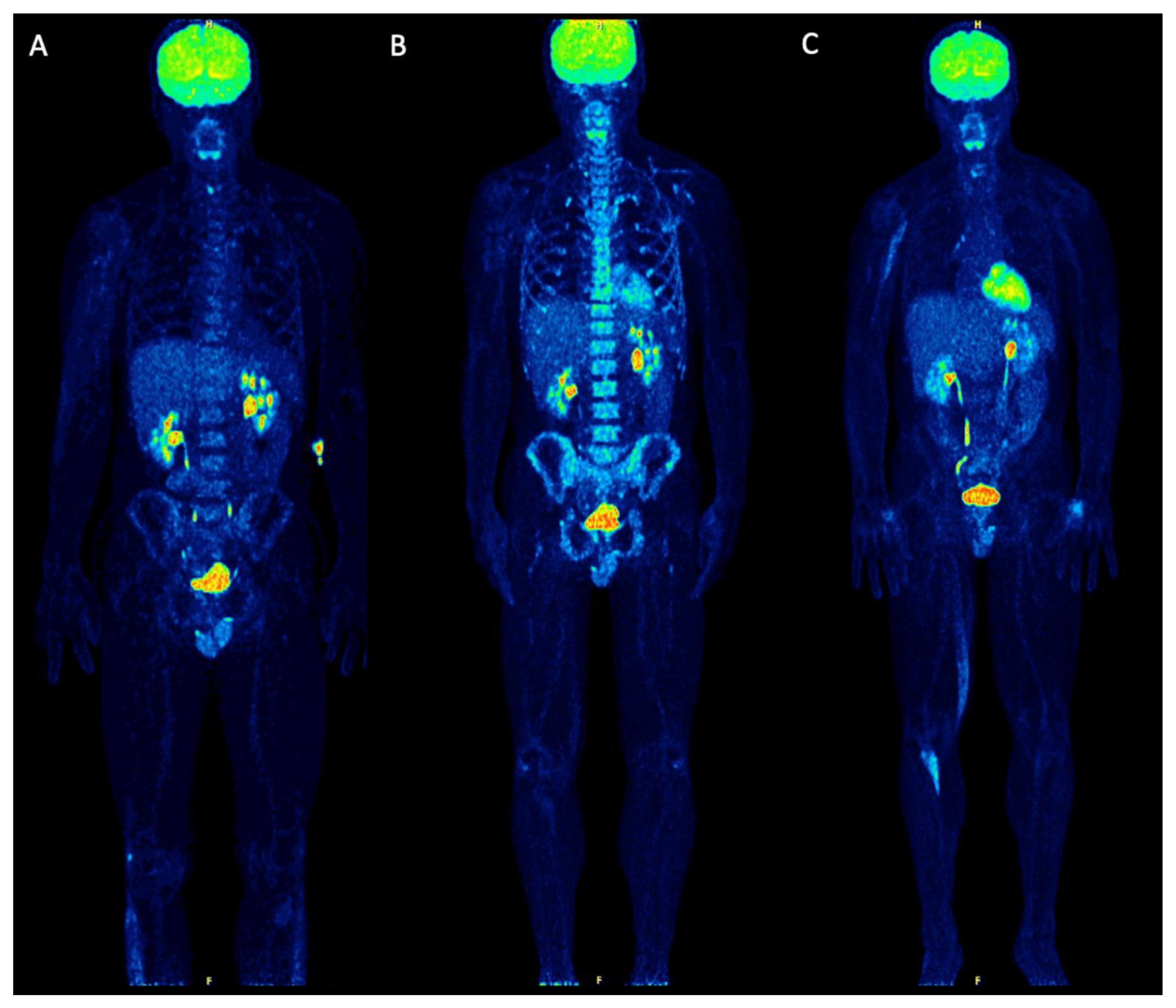 Diagnostics 11 00649 g002