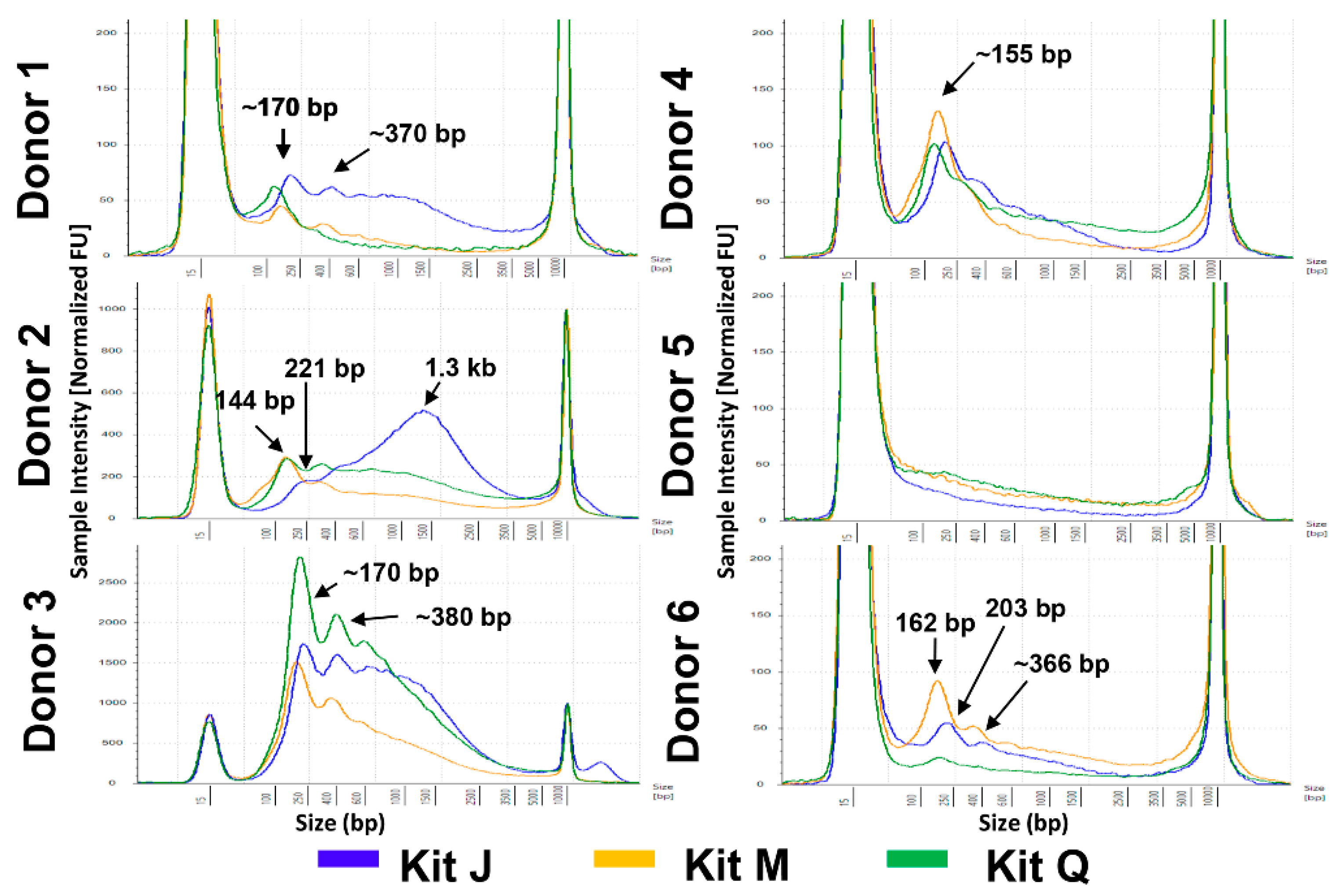 Diagnostics 11 00650 g002