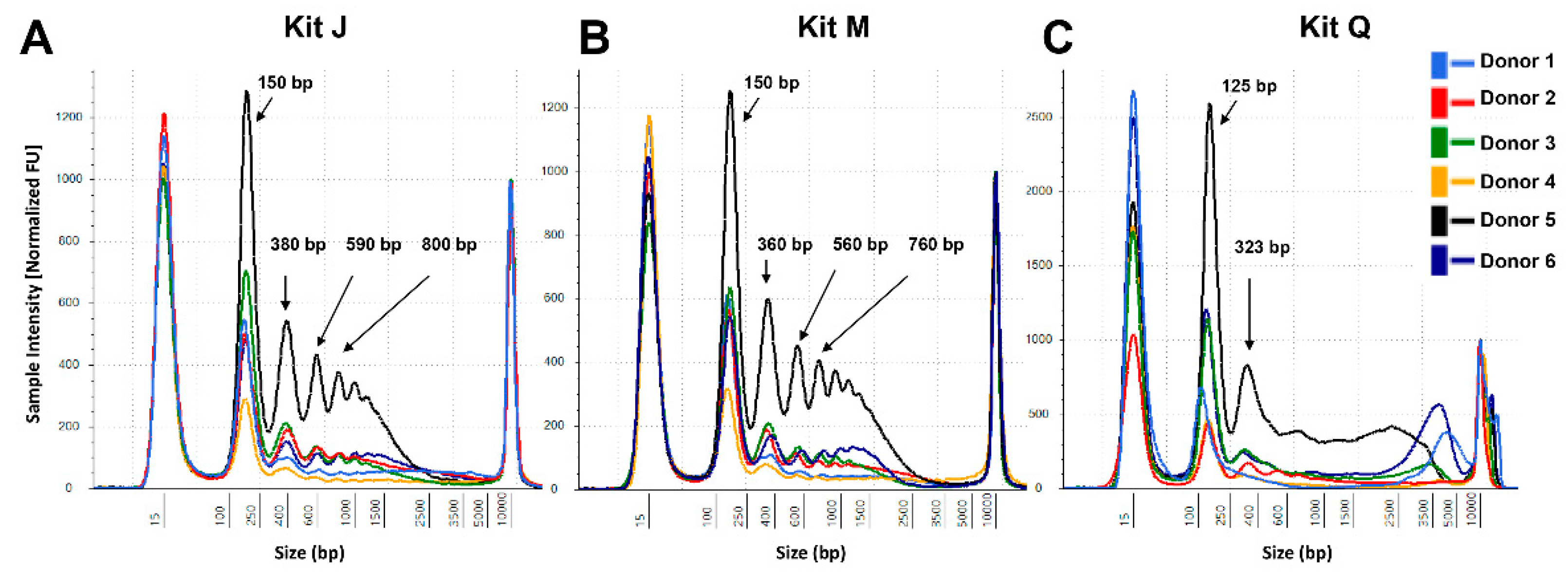Diagnostics 11 00650 g004