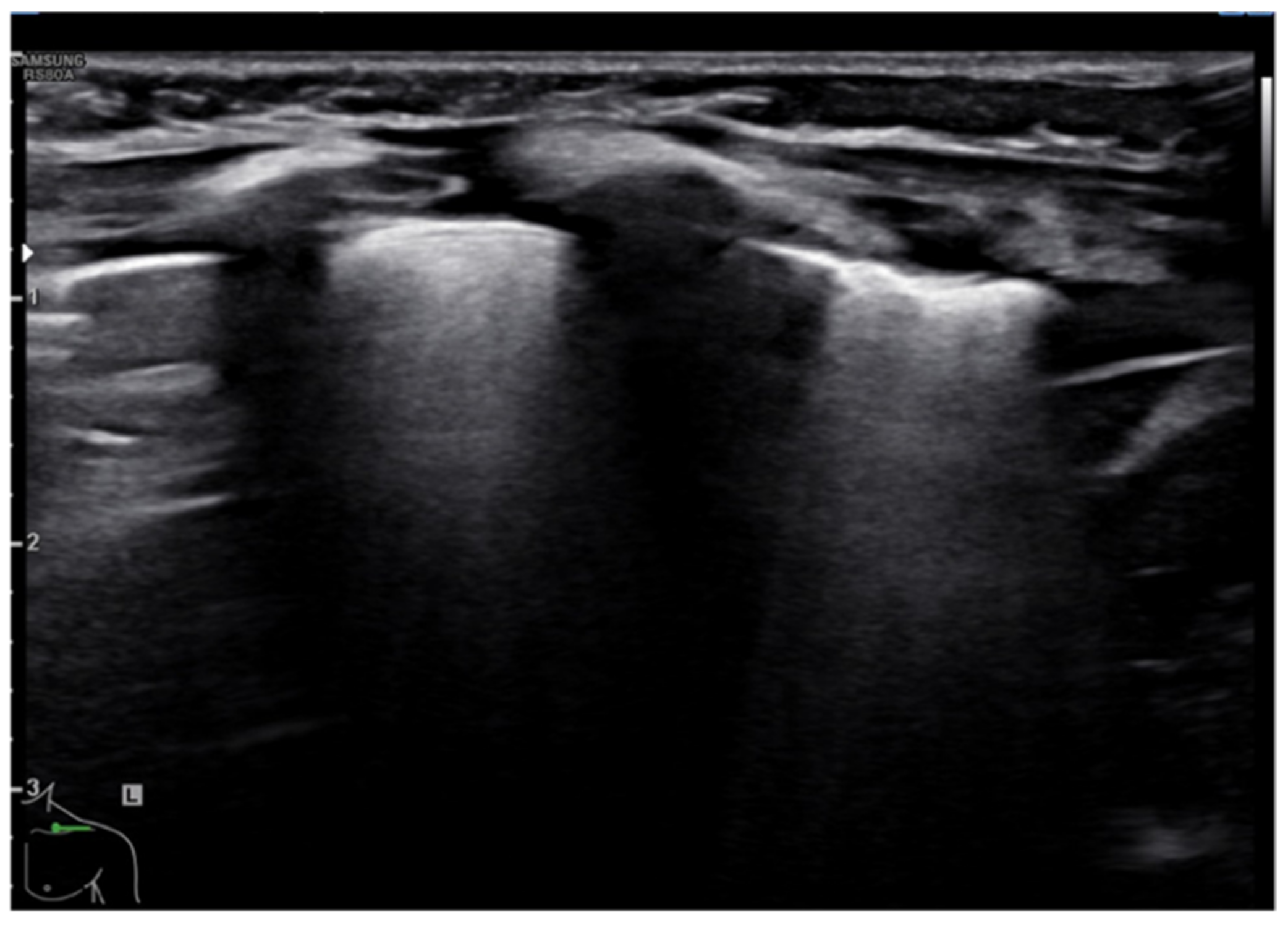 Diagnostics 11 00652 g008