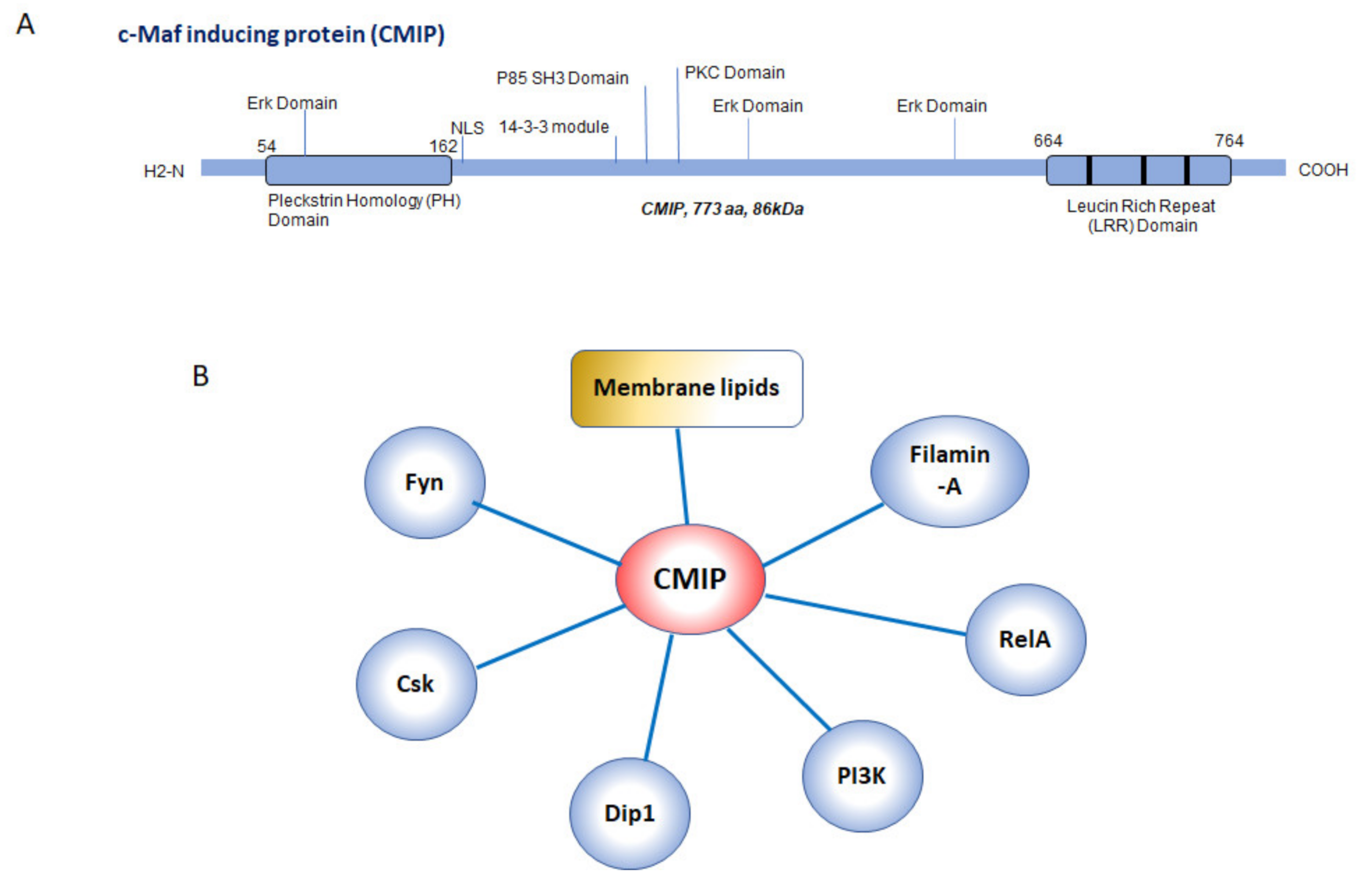 Diagnostics 11 00666 g001