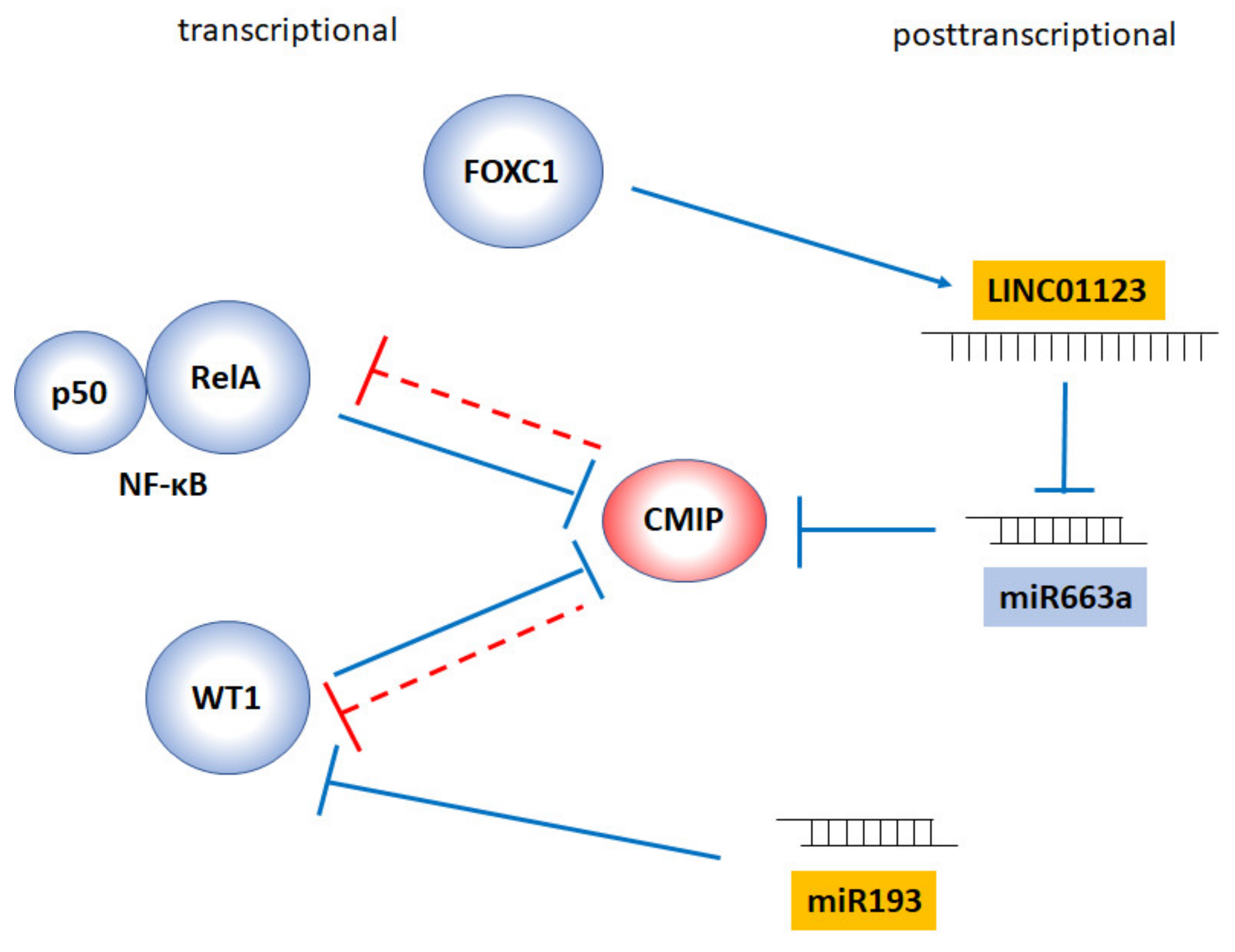 Diagnostics 11 00666 g003