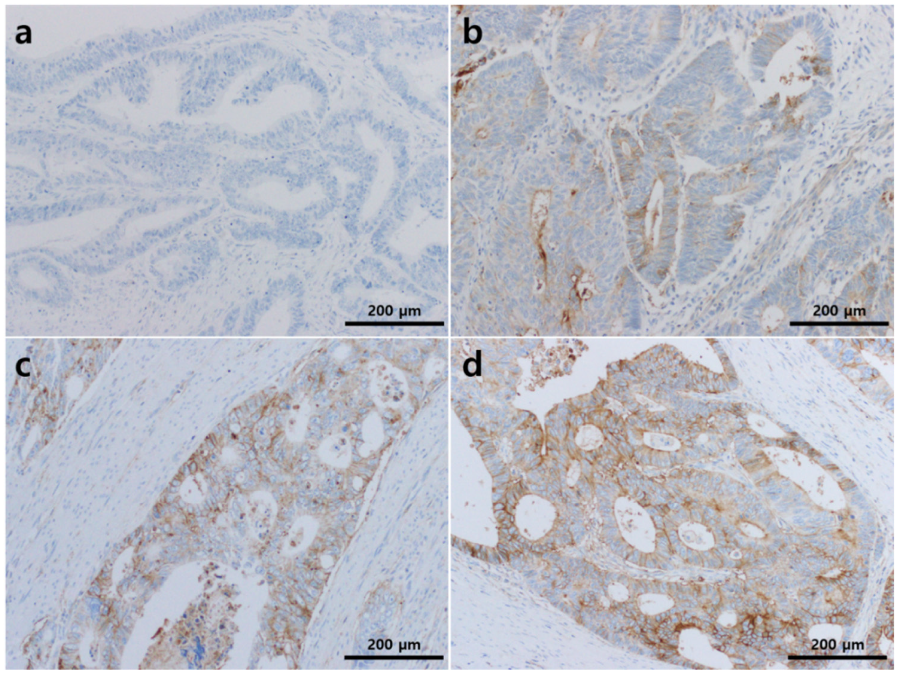 Diagnostics 11 00668 g001