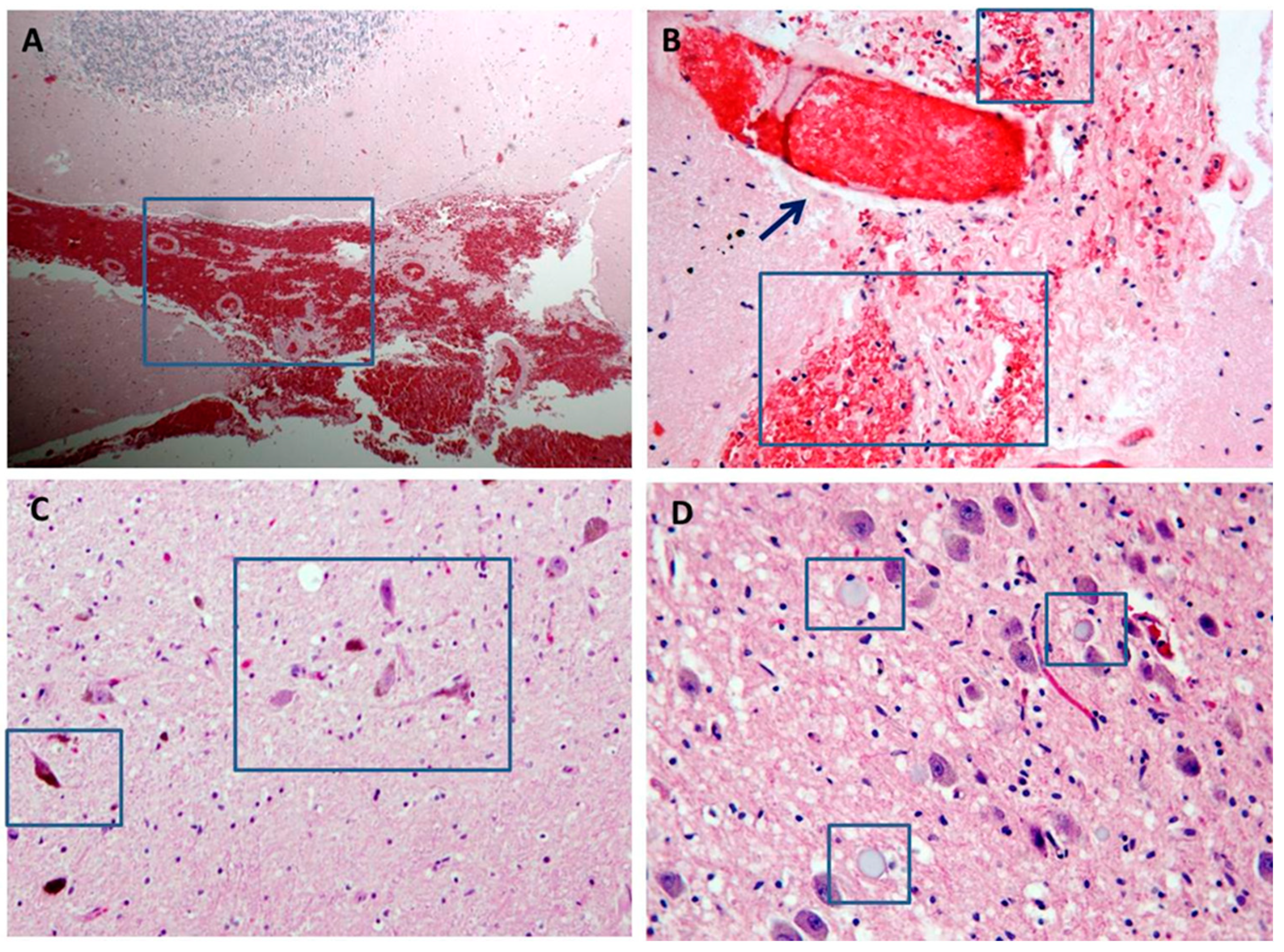 Diagnostics 11 00682 g003