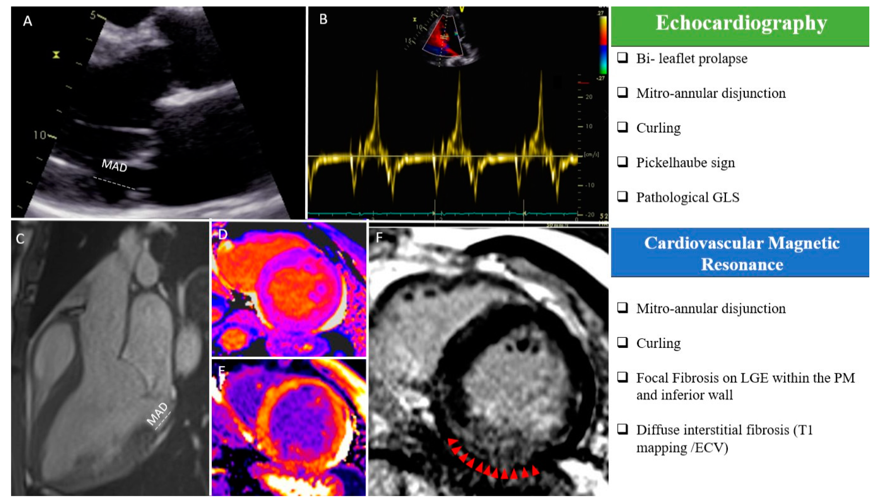 Diagnostics 11 00683 g001