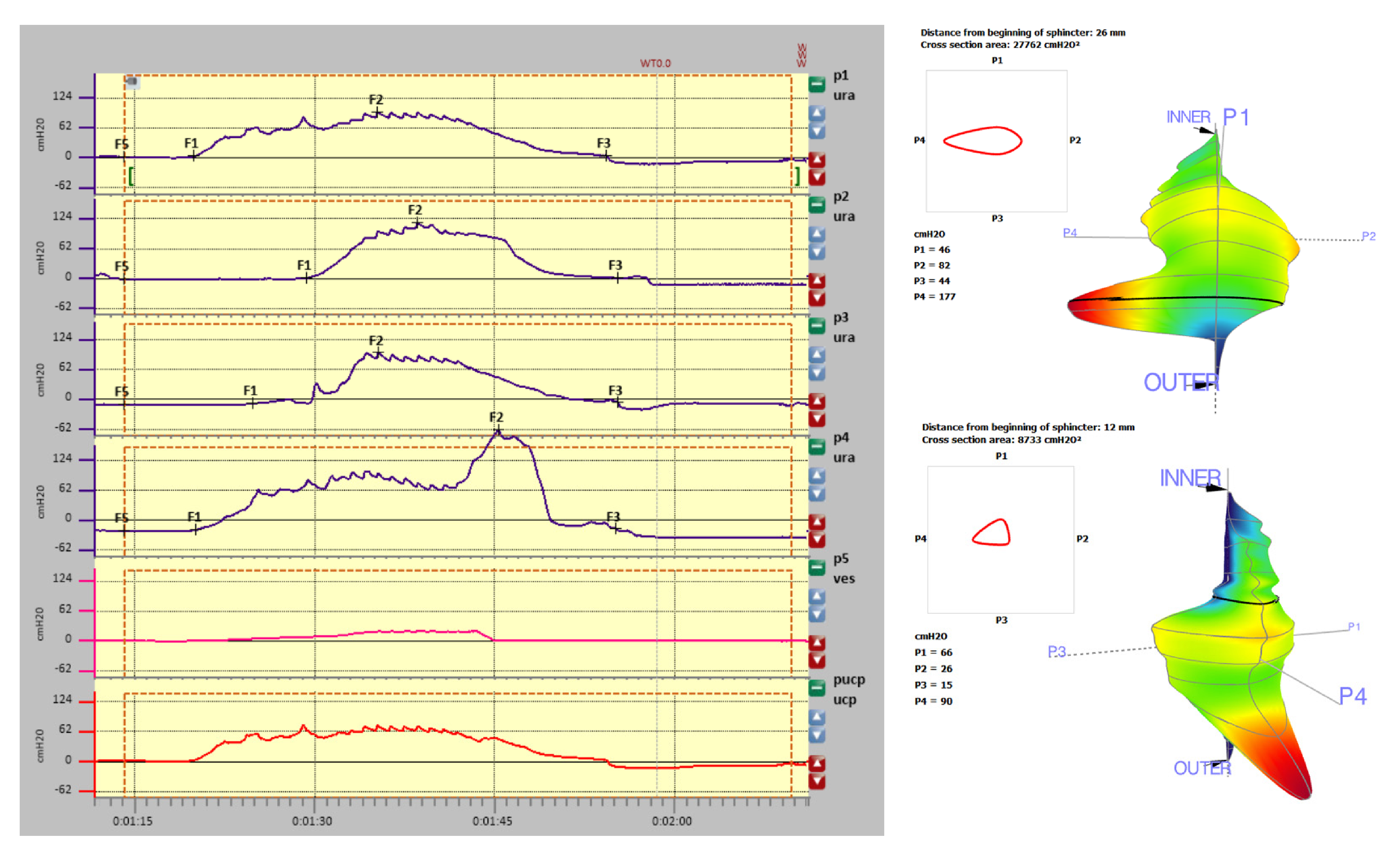 Diagnostics 11 00687 g004 Diagnostics 11 00687 g004