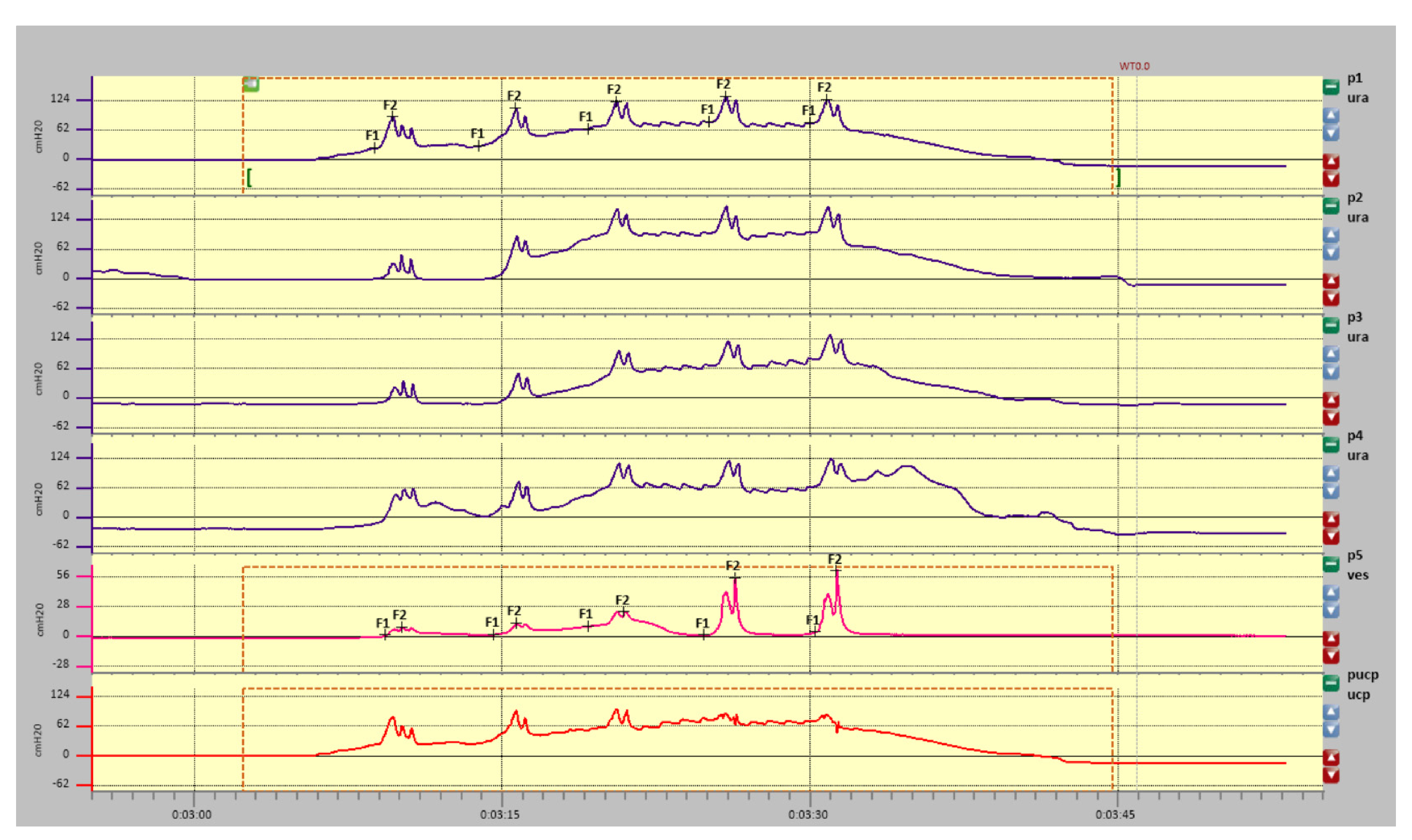 Diagnostics 11 00687 g005 Diagnostics 11 00687 g005
