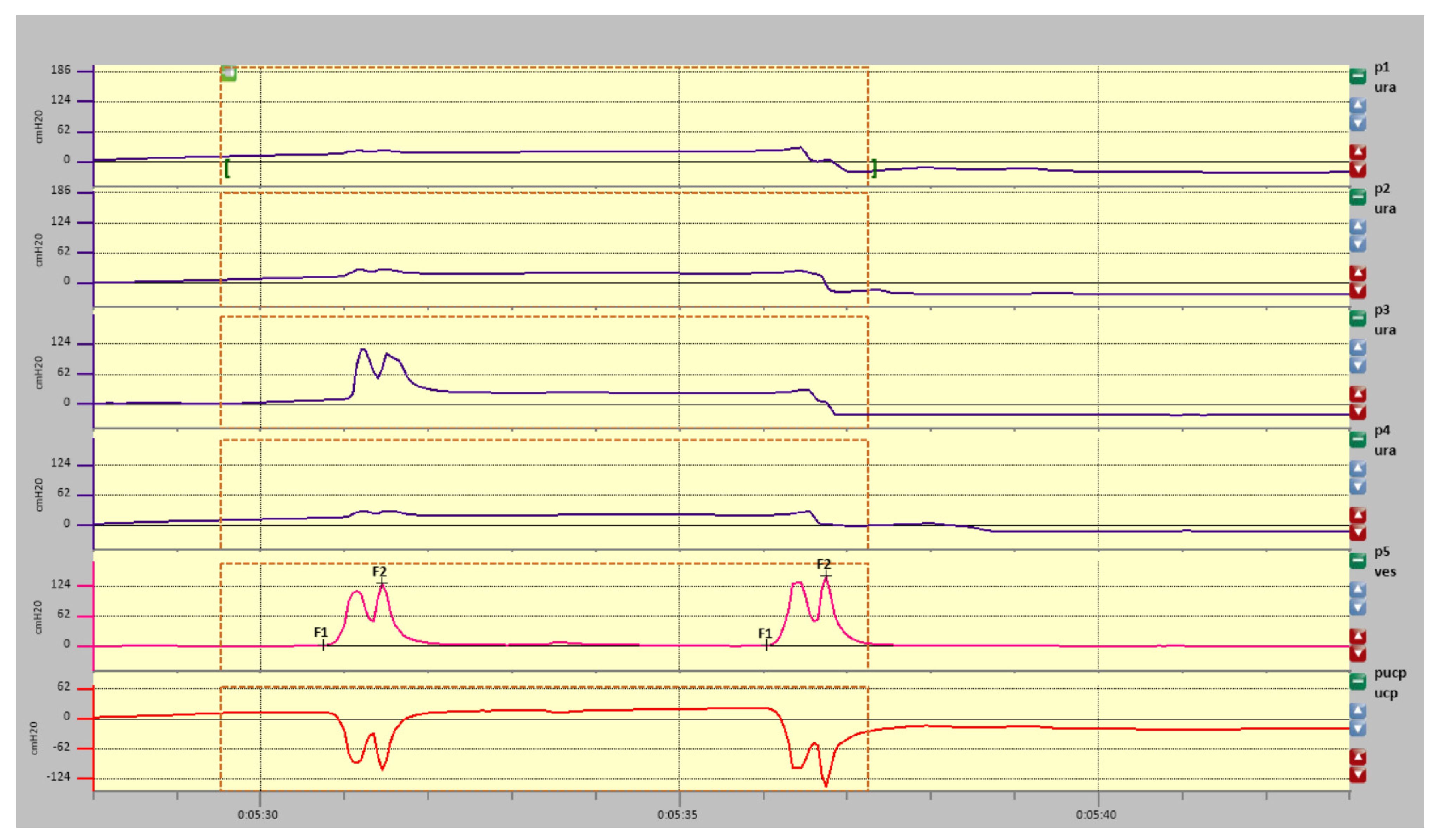 Diagnostics 11 00687 g007 Diagnostics 11 00687 g007