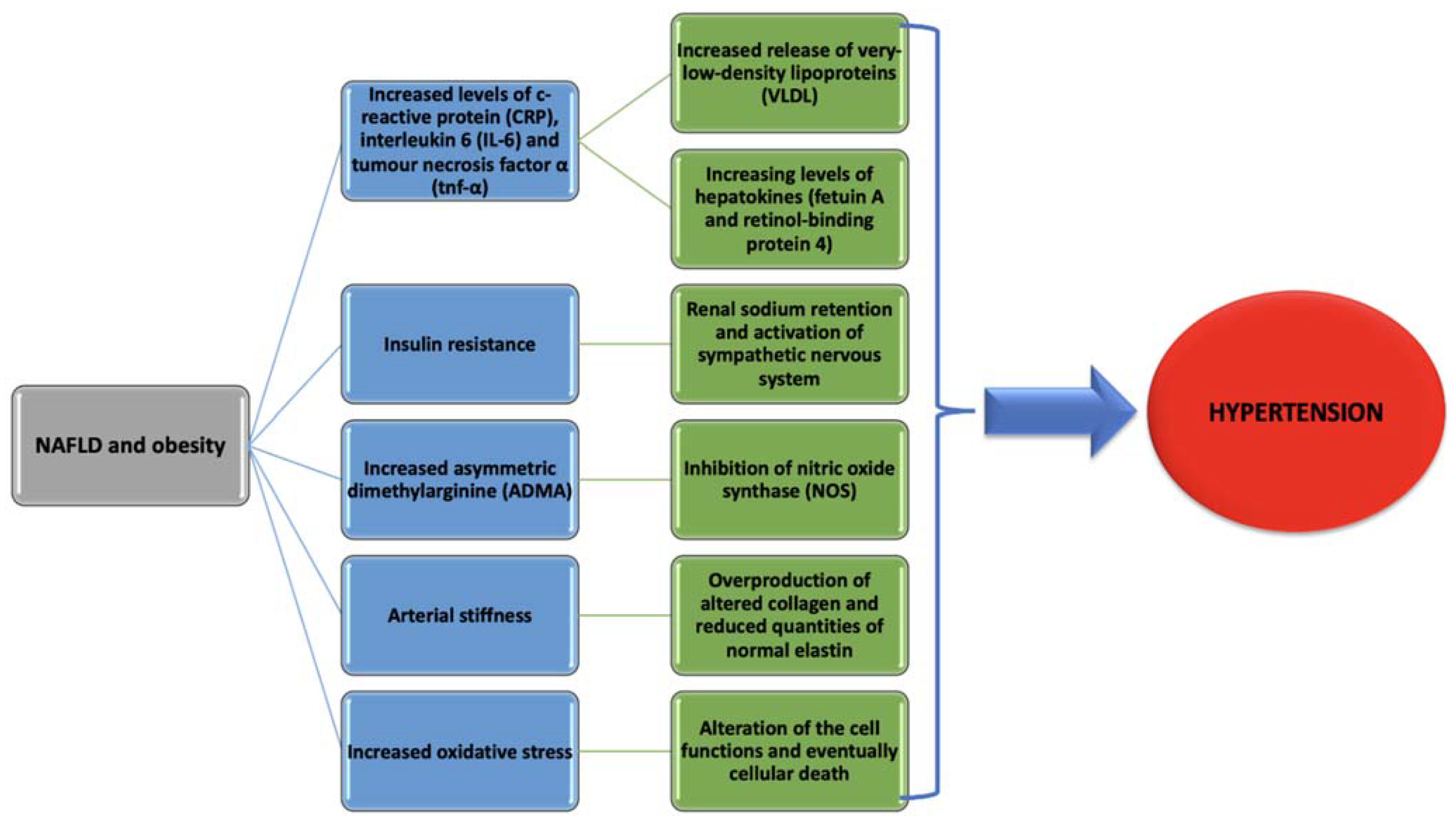 Diagnostics 11 00689 g001