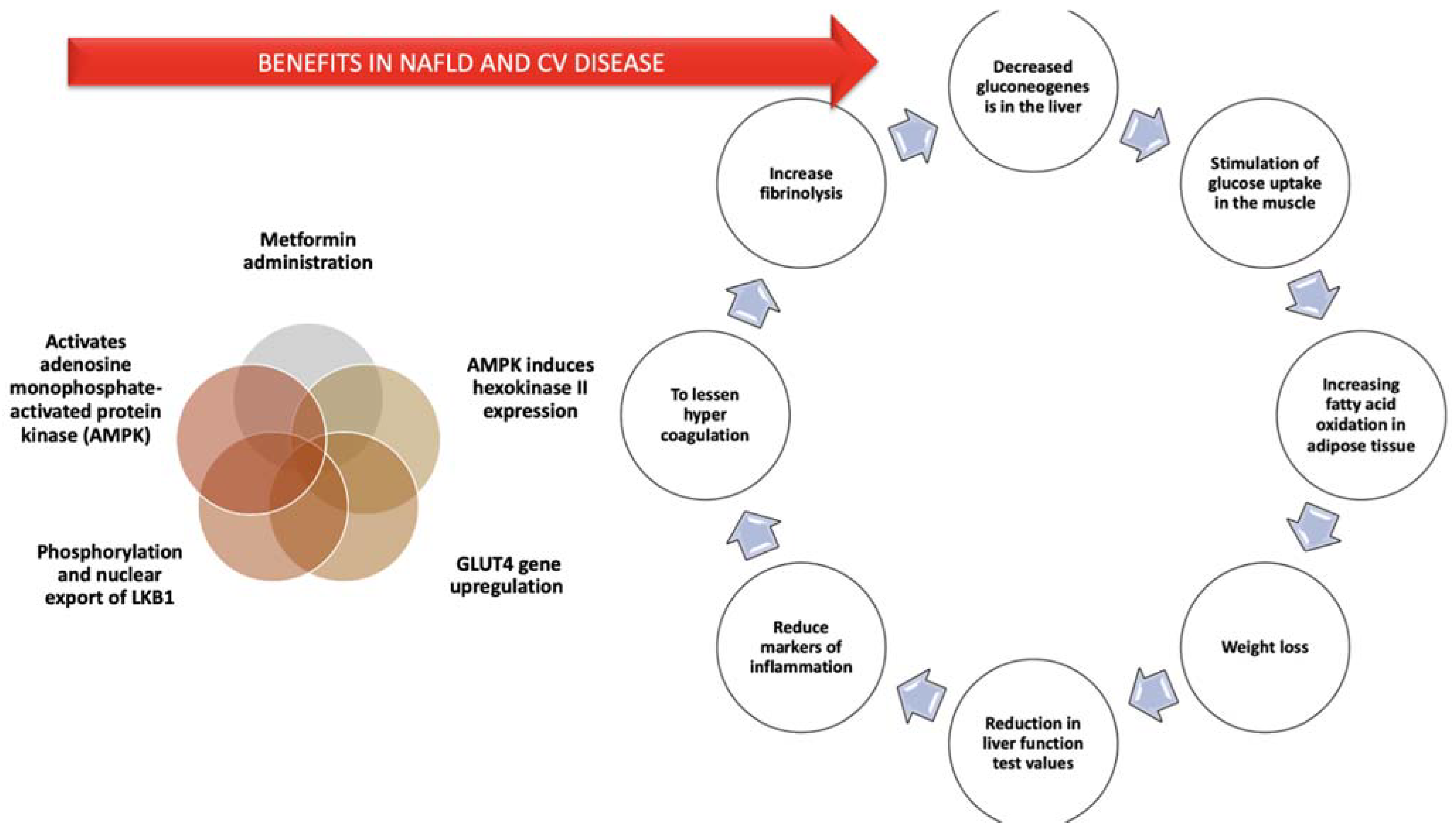 Diagnostics 11 00689 g002