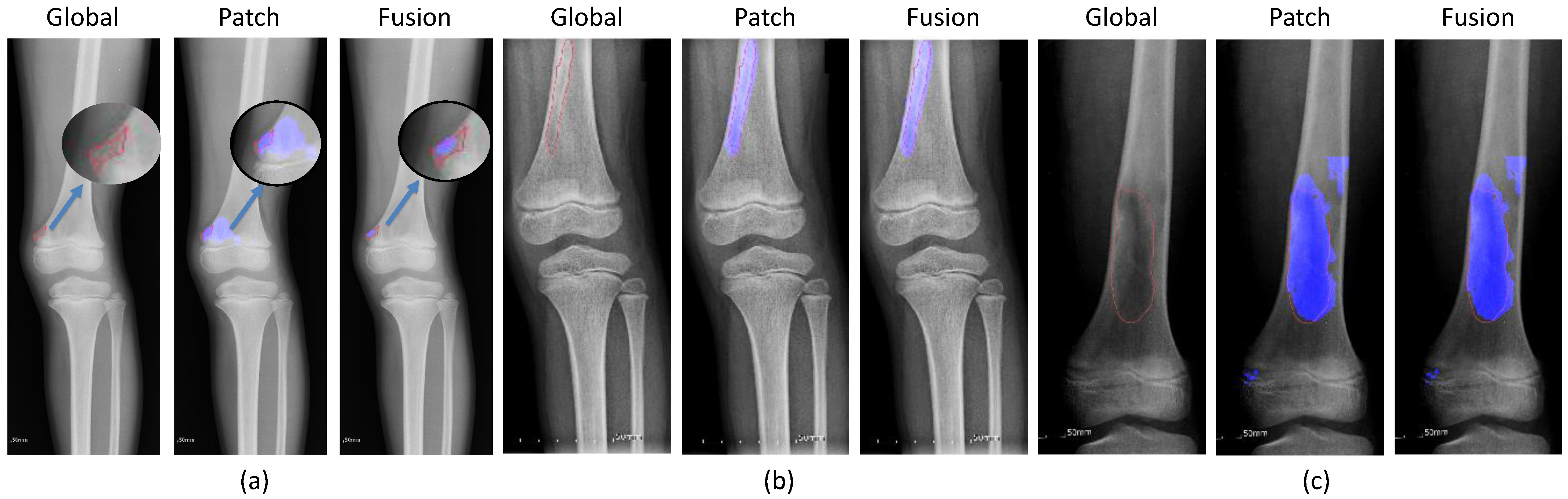 Diagnostics 11 00691 g012