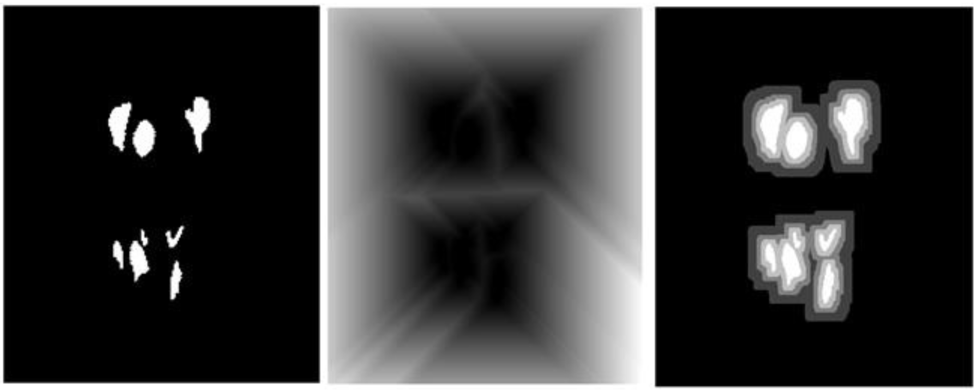 Diagnostics 11 00691 g0a1