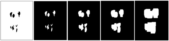 Diagnostics 11 00691 g0a2