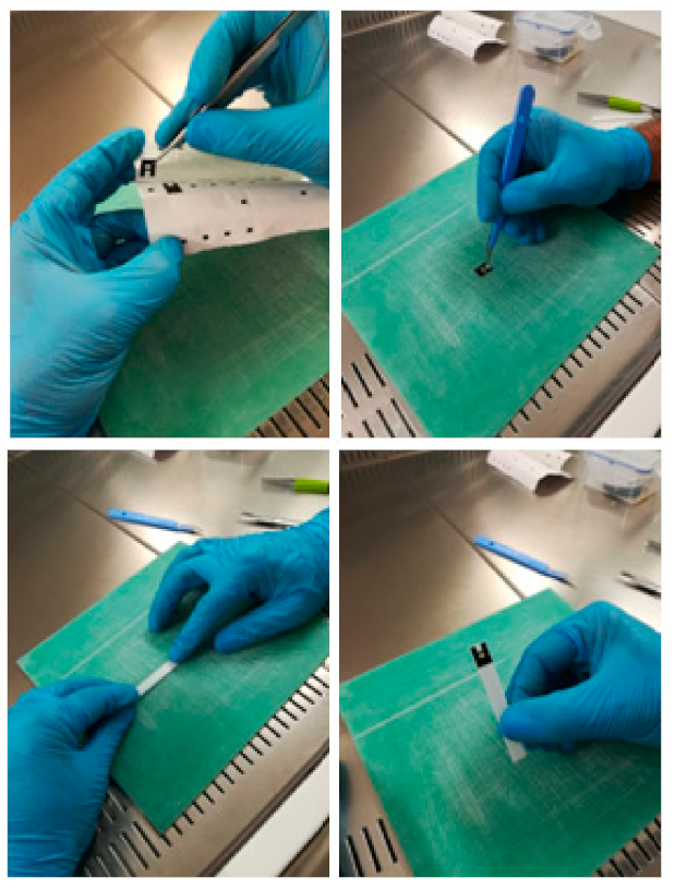 Diagnostics 11 00698 g001