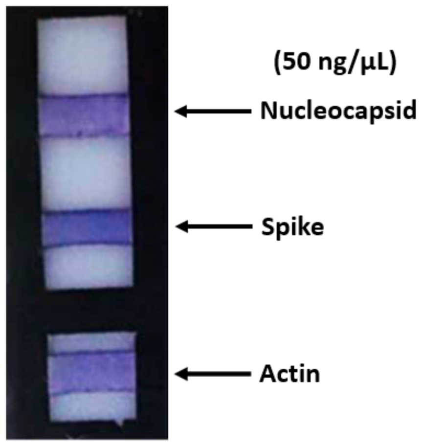 Diagnostics 11 00698 g002