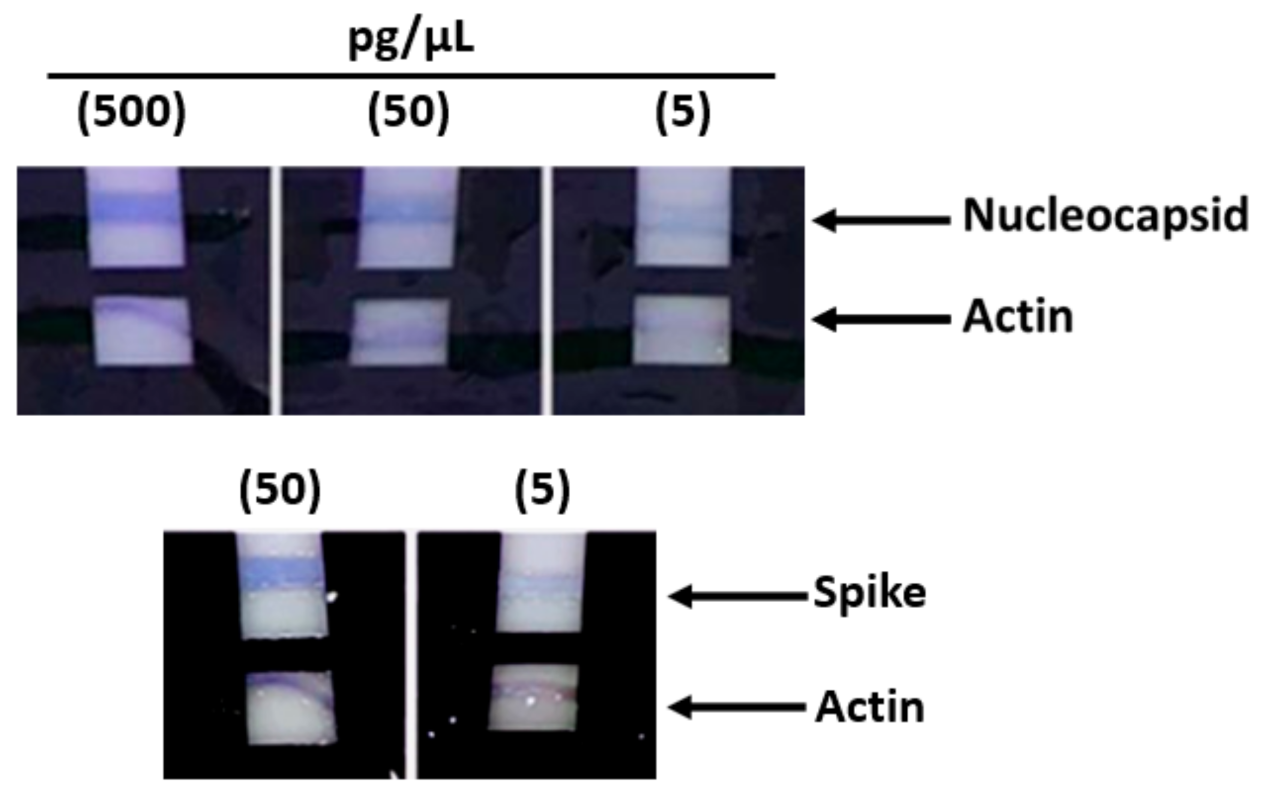 Diagnostics 11 00698 g003
