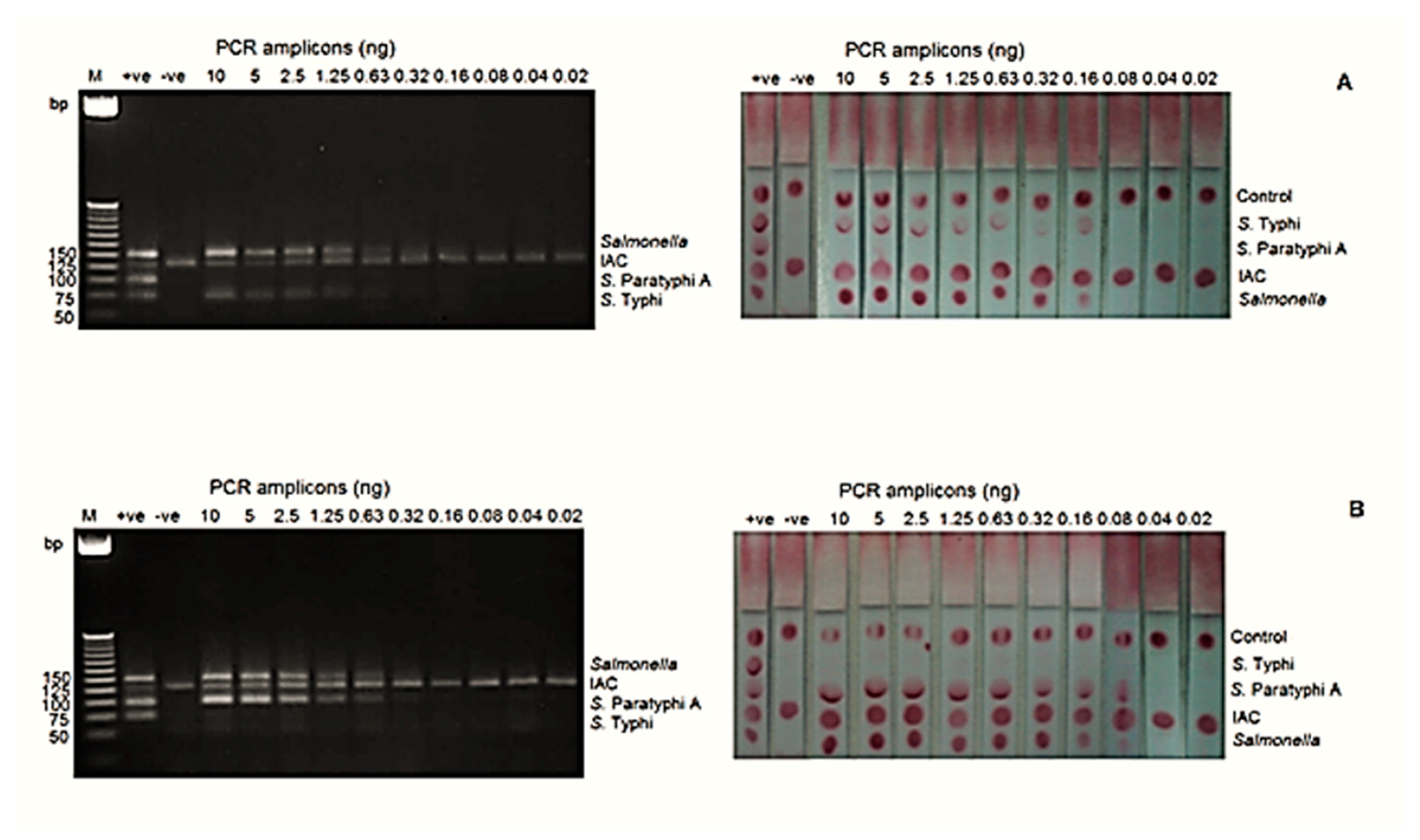 Diagnostics 11 00700 g002 Diagnostics 11 00700 g002