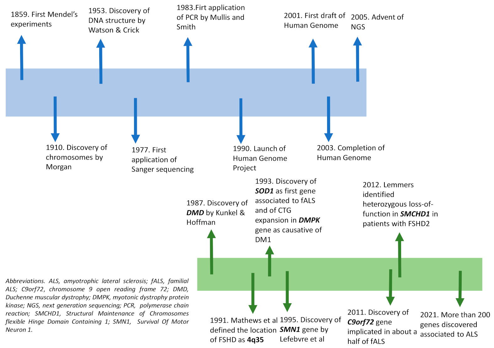 Diagnostics 11 00701 g001
