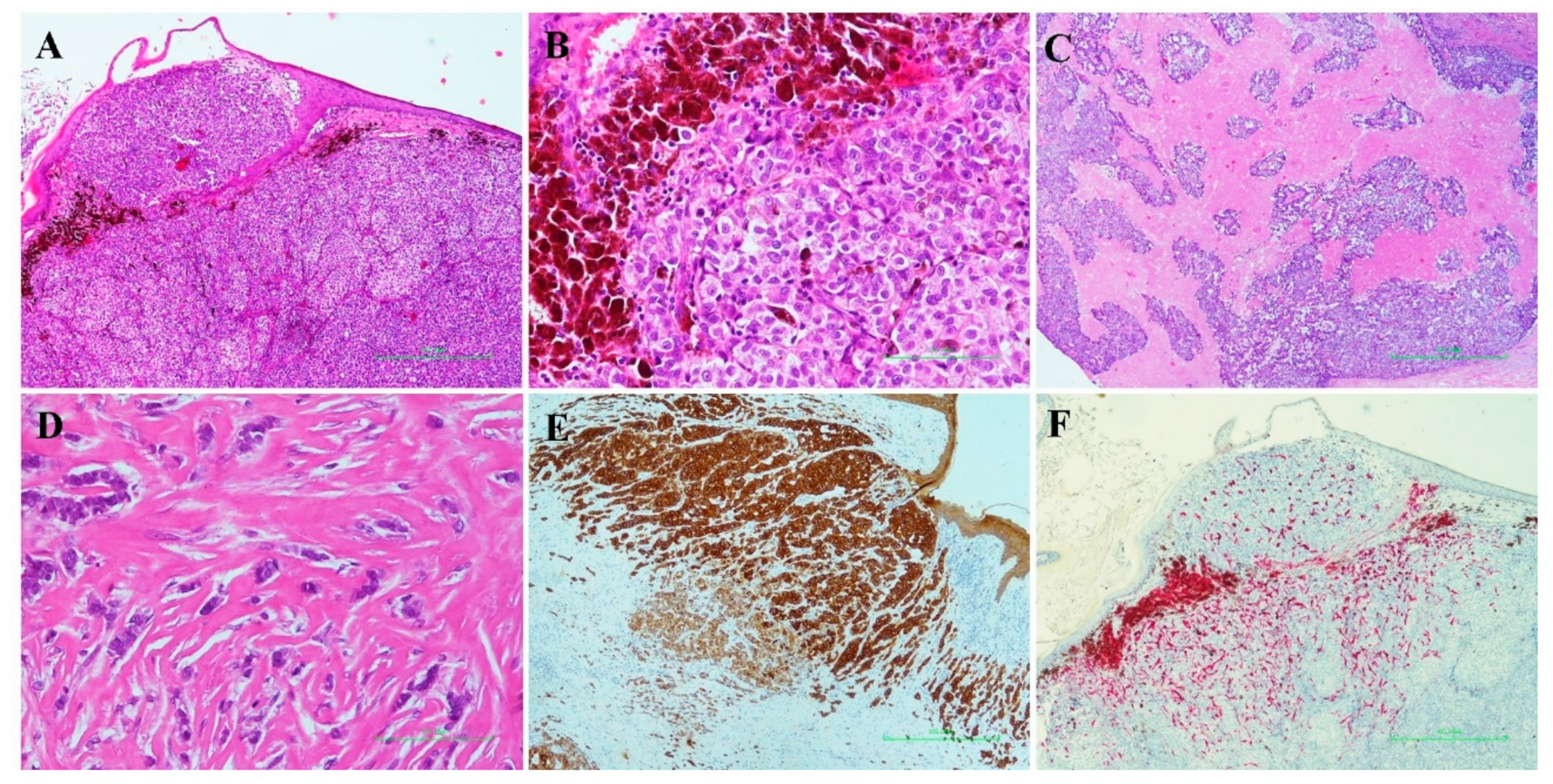 Diagnostics 11 00709 g001