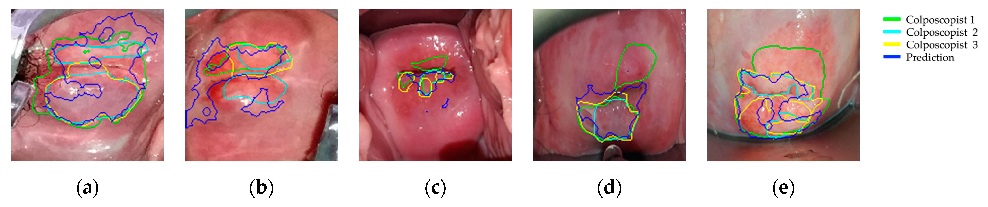 Diagnostics 11 00716 g008