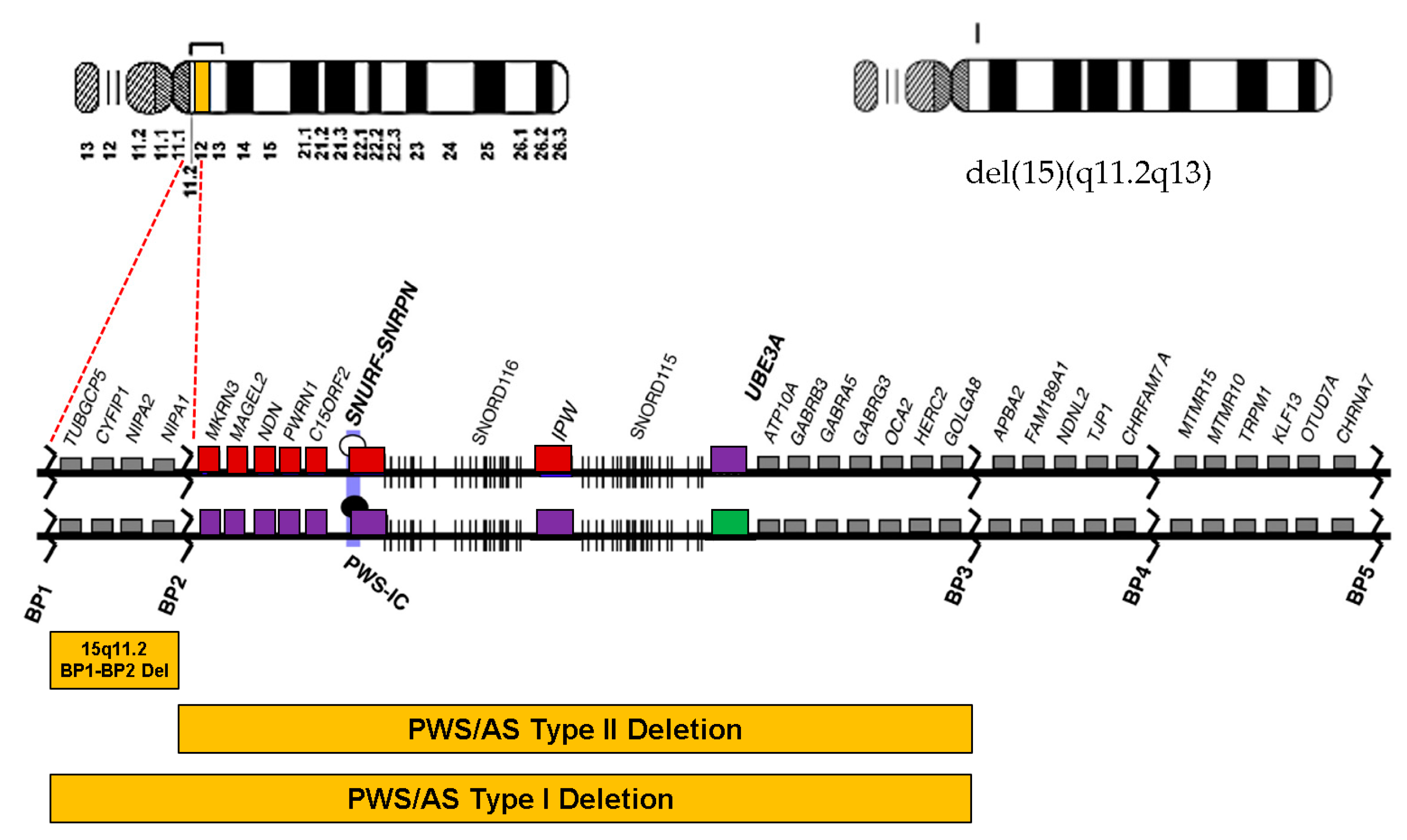 Diagnostics 11 00722 g003